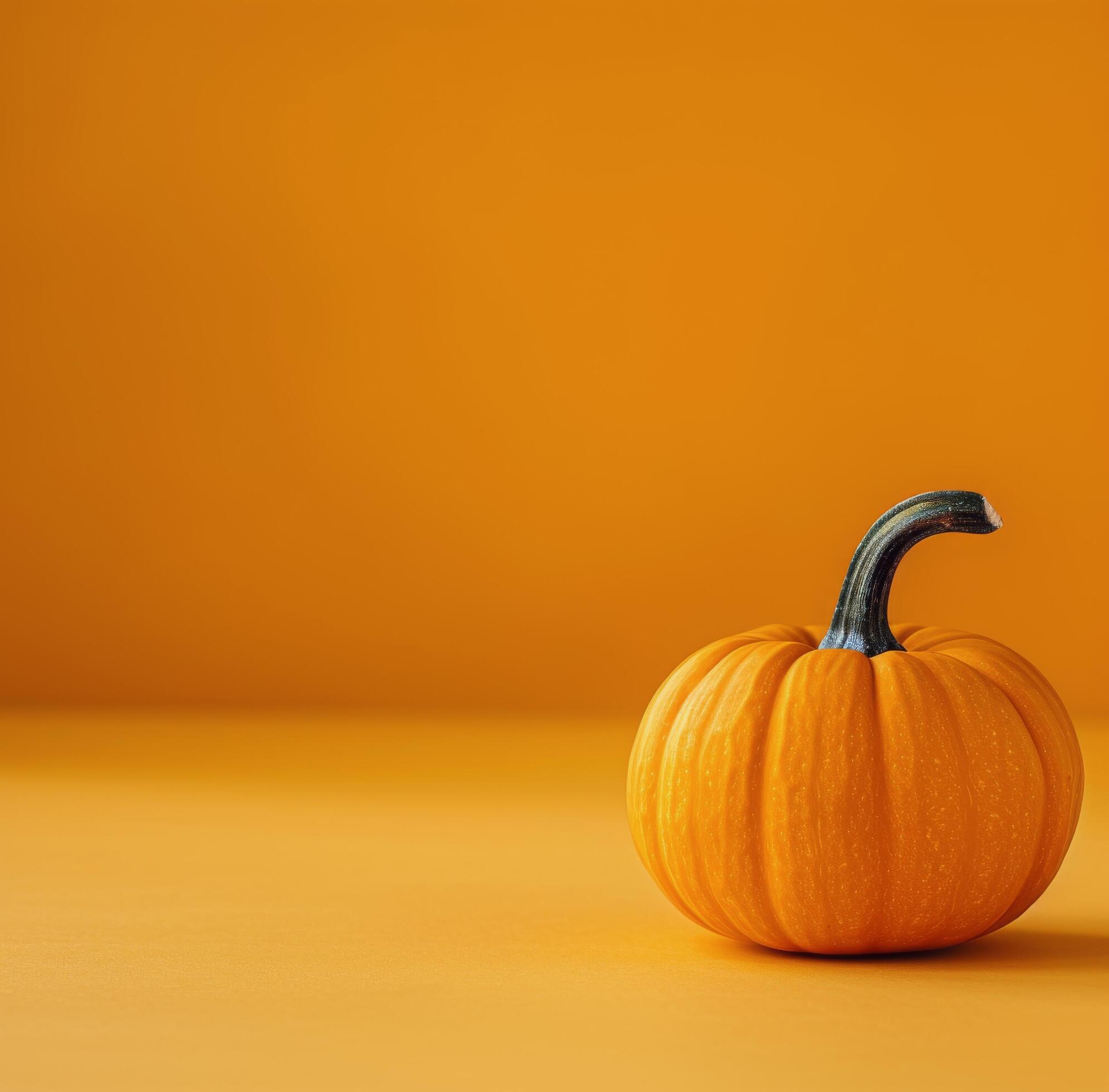 Single Pumpkin On Orange Background Stock Free