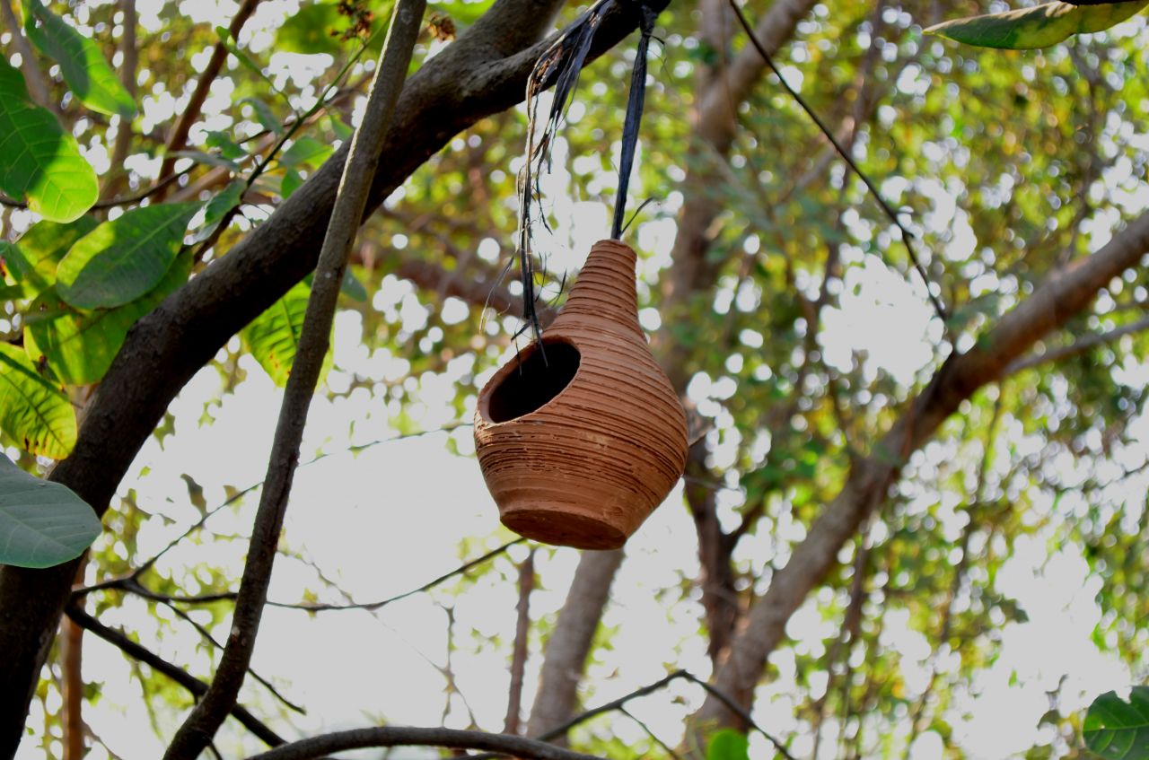 Hanging Bird House Stock Free