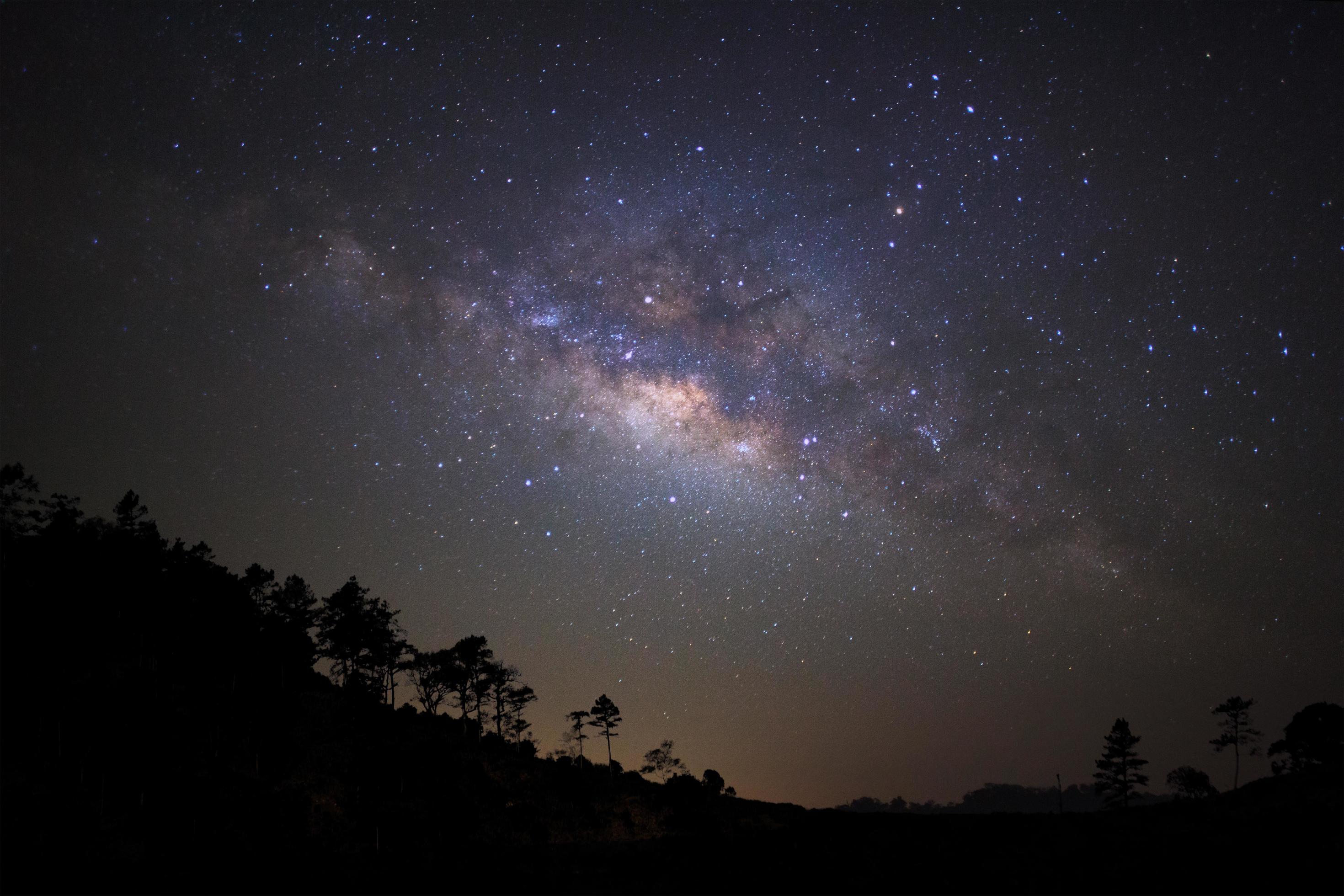 Landscape silhouette of tree with milky way galaxy and space dust in the universe, Night starry sky with stars Stock Free