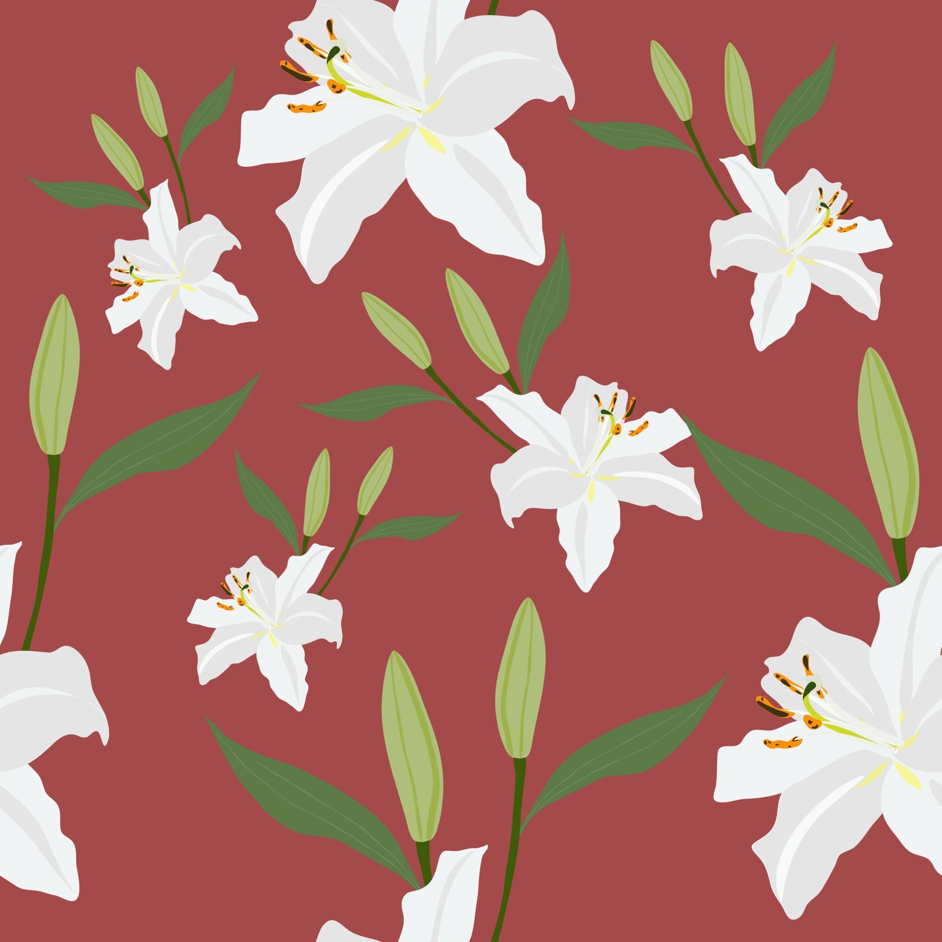 lily flower pattern Stock Free