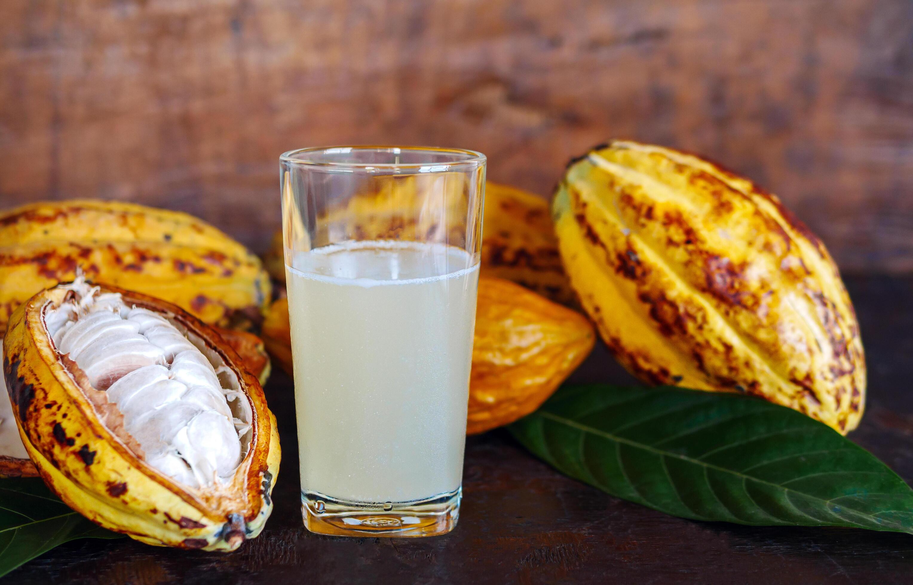 Fresh cacao water in glass and half sliced ripe yellow cacao pod with white cocoa seed, Cacao juice in glass on vintage wooden background Stock Free