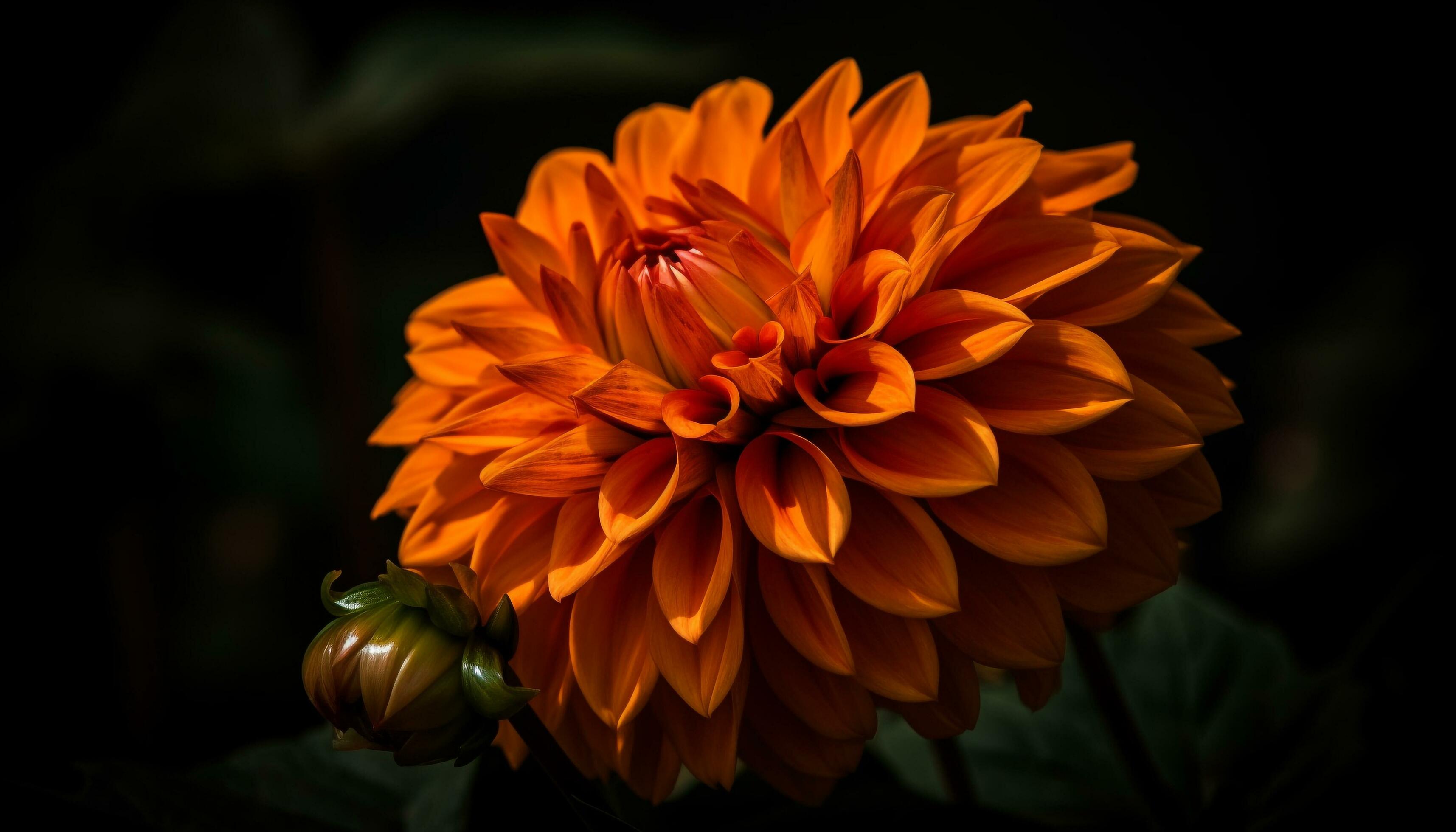 Vibrant bouquet of multi colored flowers in a formal garden generated by AI Stock Free