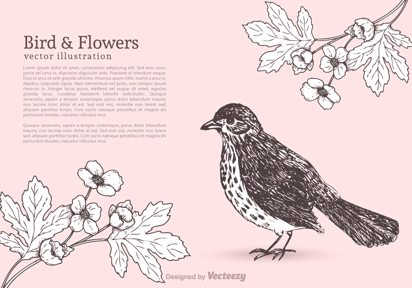 Free Bird And Flowers Vector Stock Free and Free SVG