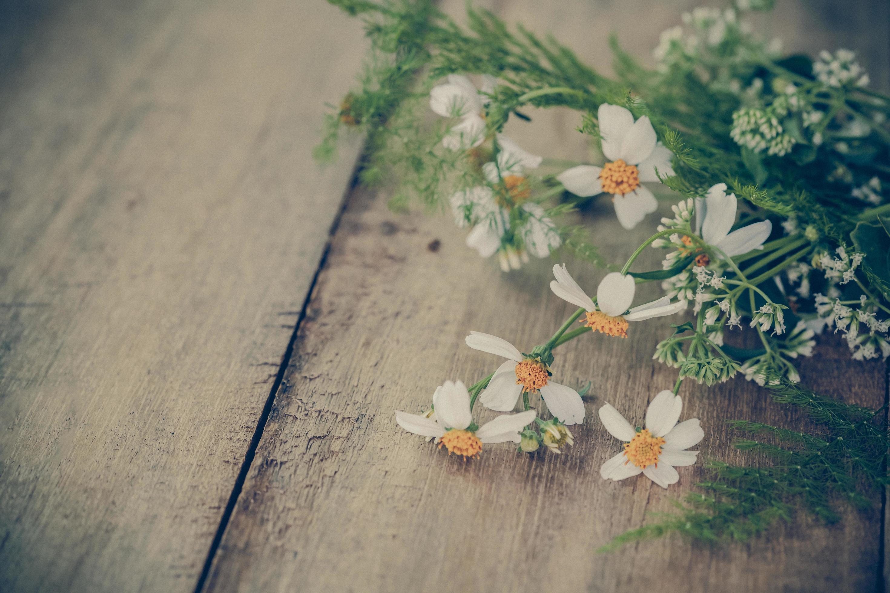 Decoration with small flowers on wood Stock Free