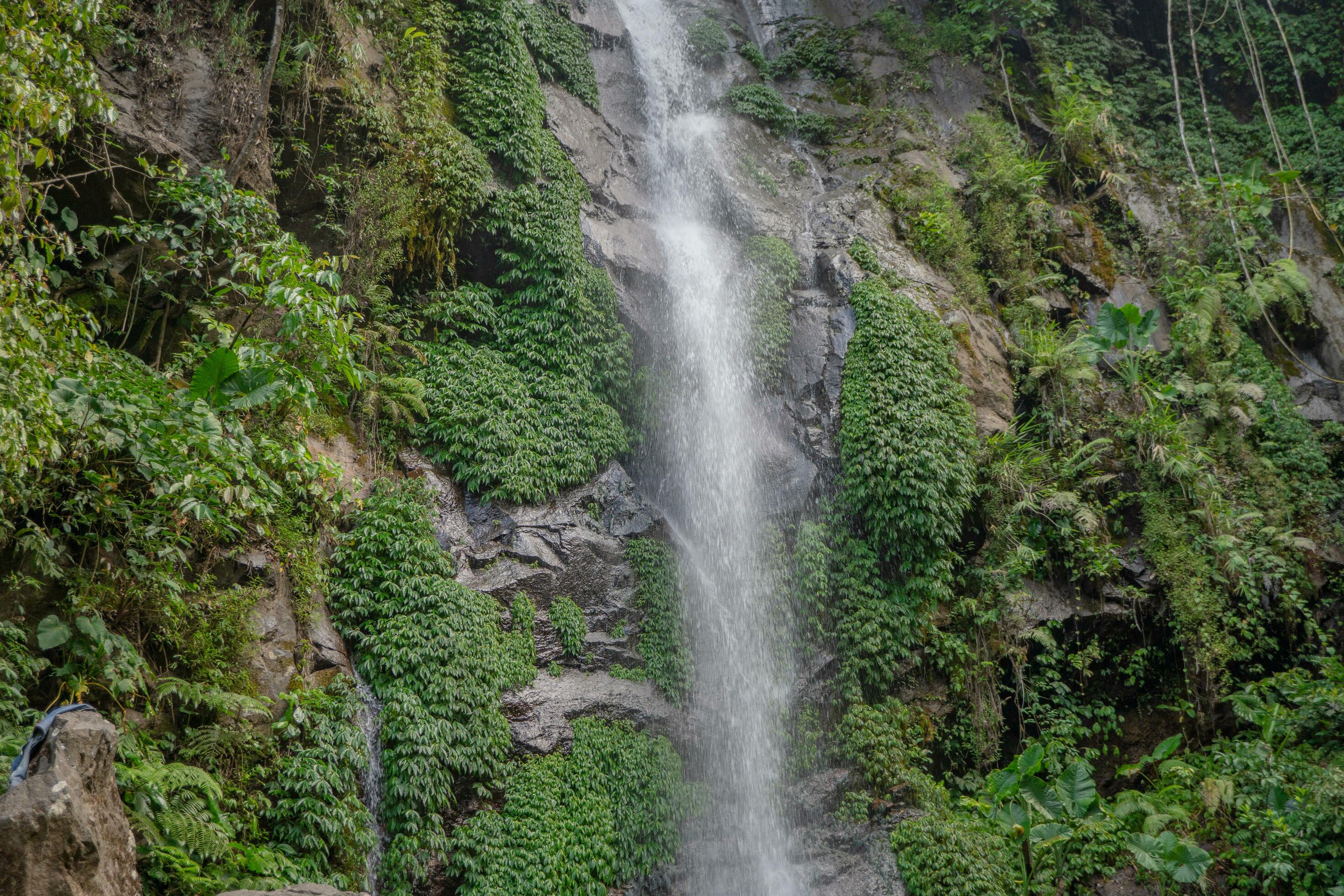 Small water fall on the tropical forest when rain season. The photo is suitable to use for adventure content media, nature poster and forest background. Stock Free