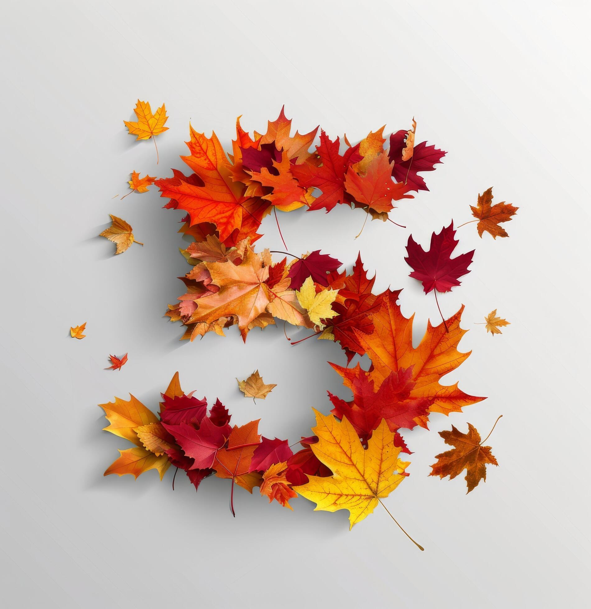 Five Shaped Arrangement of Colorful Autumn Leaves on White Background Stock Free