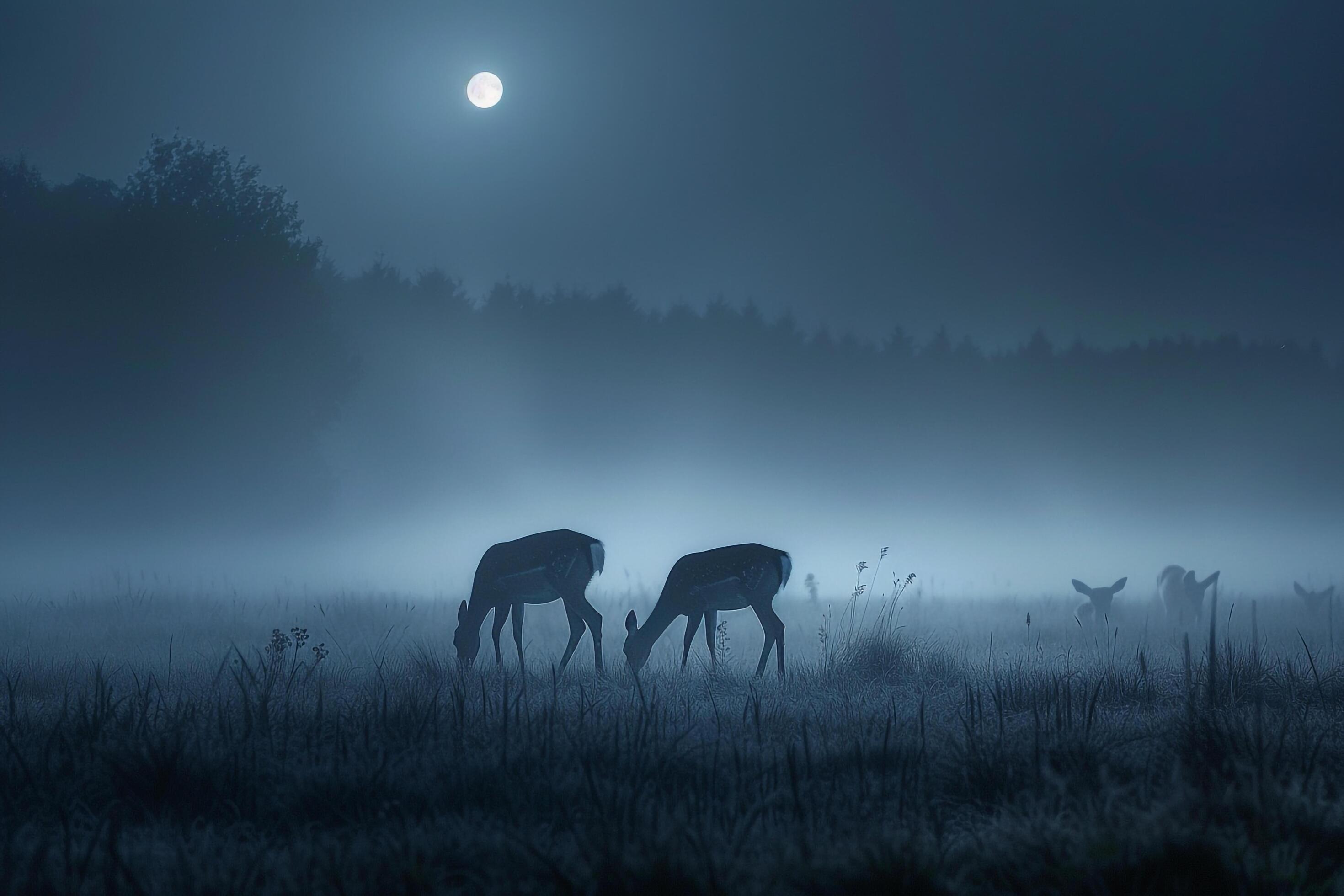 Moonlight Casting Silver Glow on Family of Deer Grazing in Meadow Background in Nature Stock Free