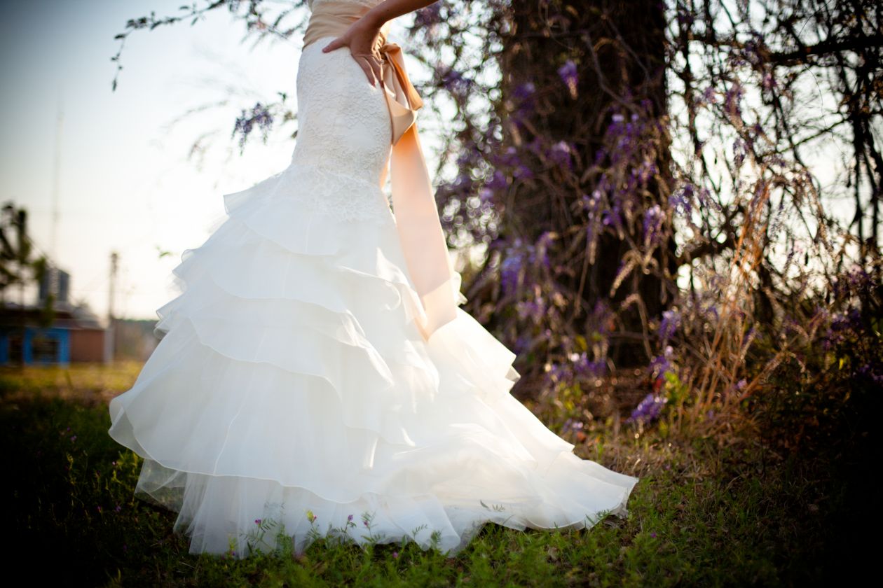 Bride White Wedding Dress Outdoors Green Grass Wisteria Vines Stock Free