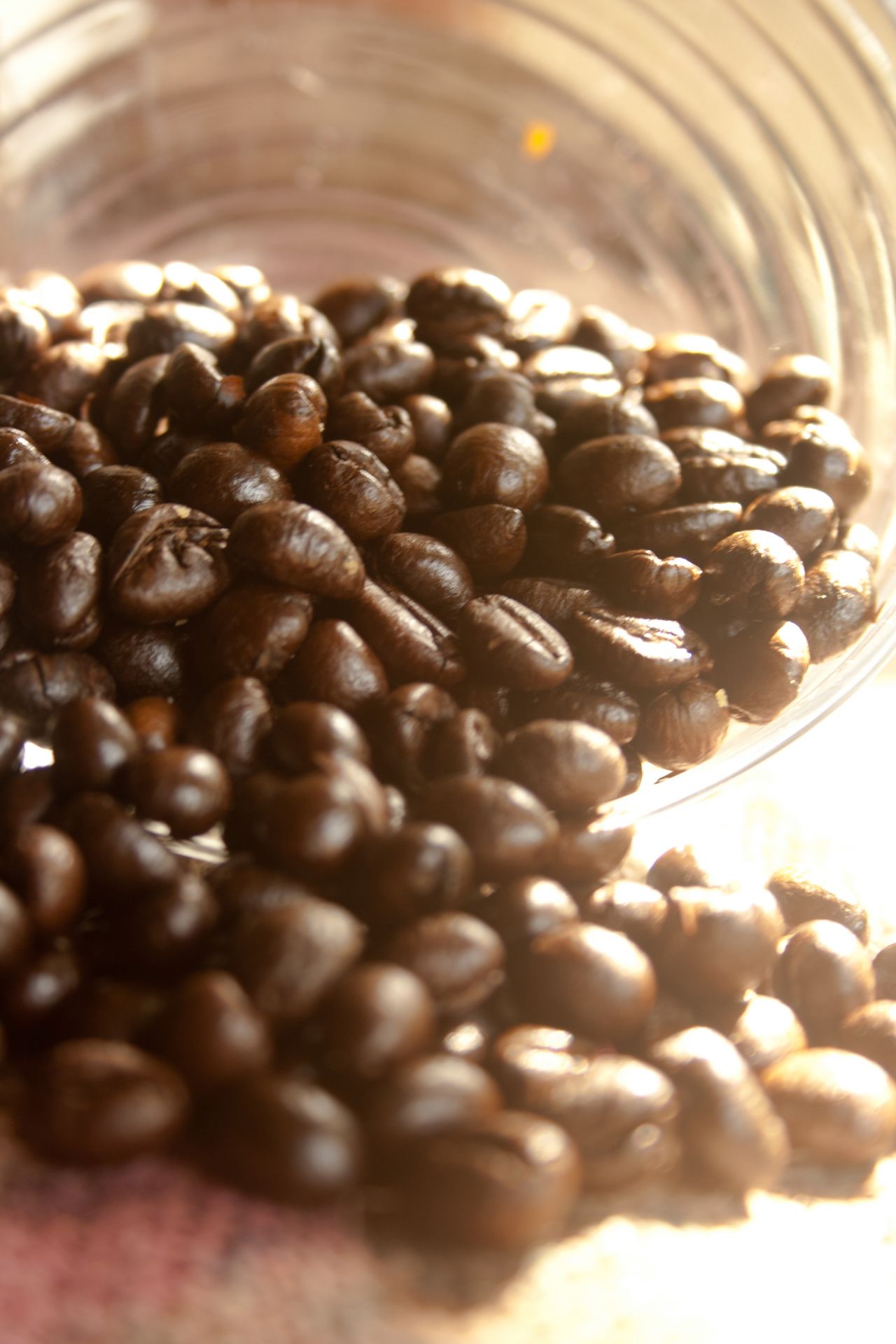 Coffee Beans Bowl Stock Free