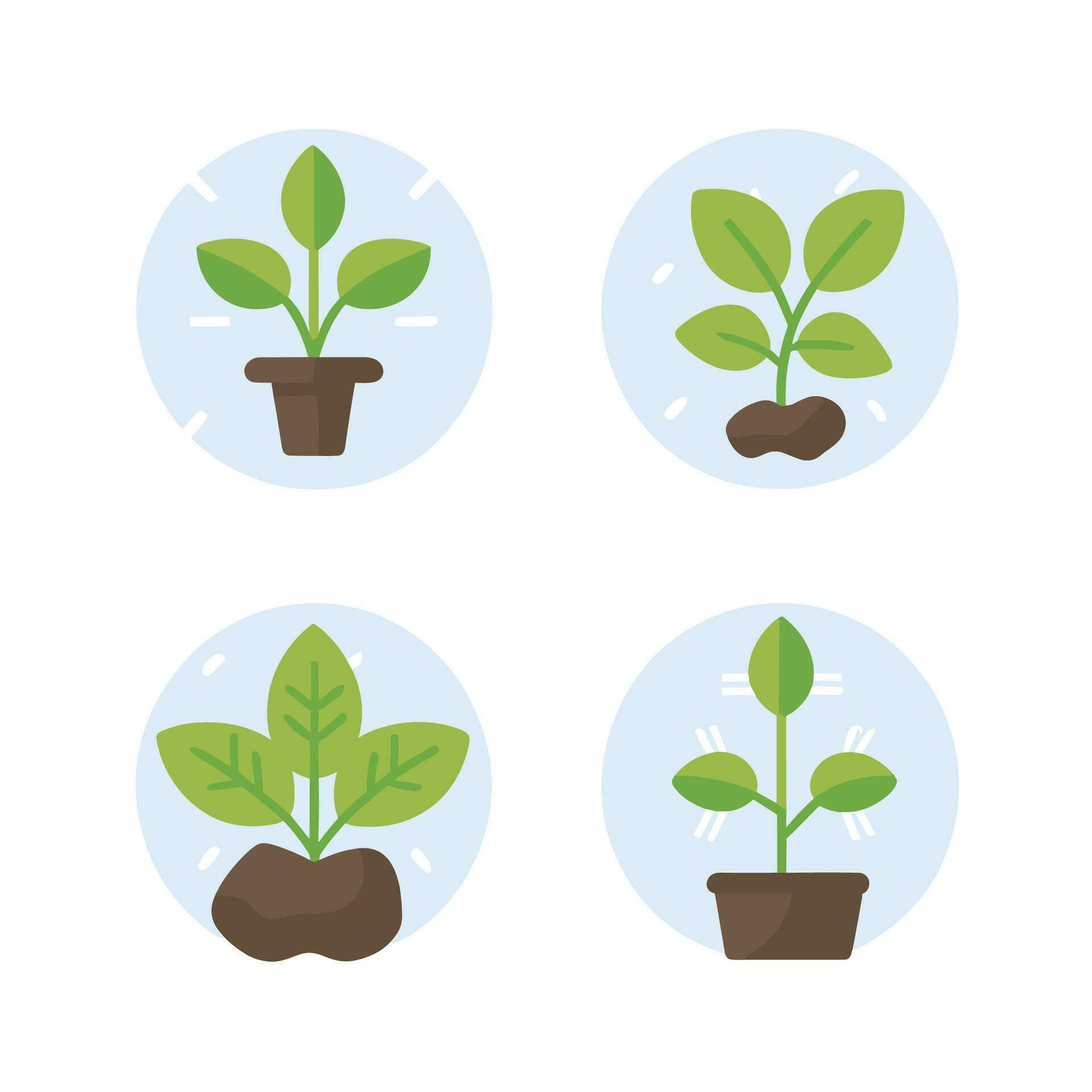 Flowers and plants seedling process flat icons set isolated vector illustration. Stock Free