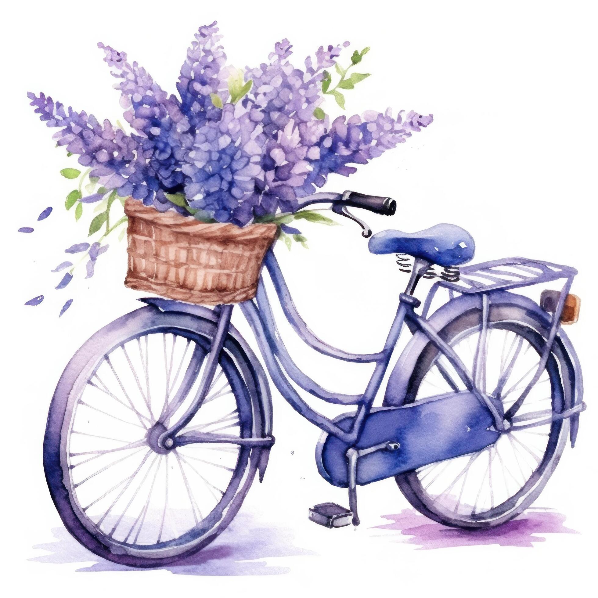 Cute watercolor bicycle with flowers. Illustration Stock Free