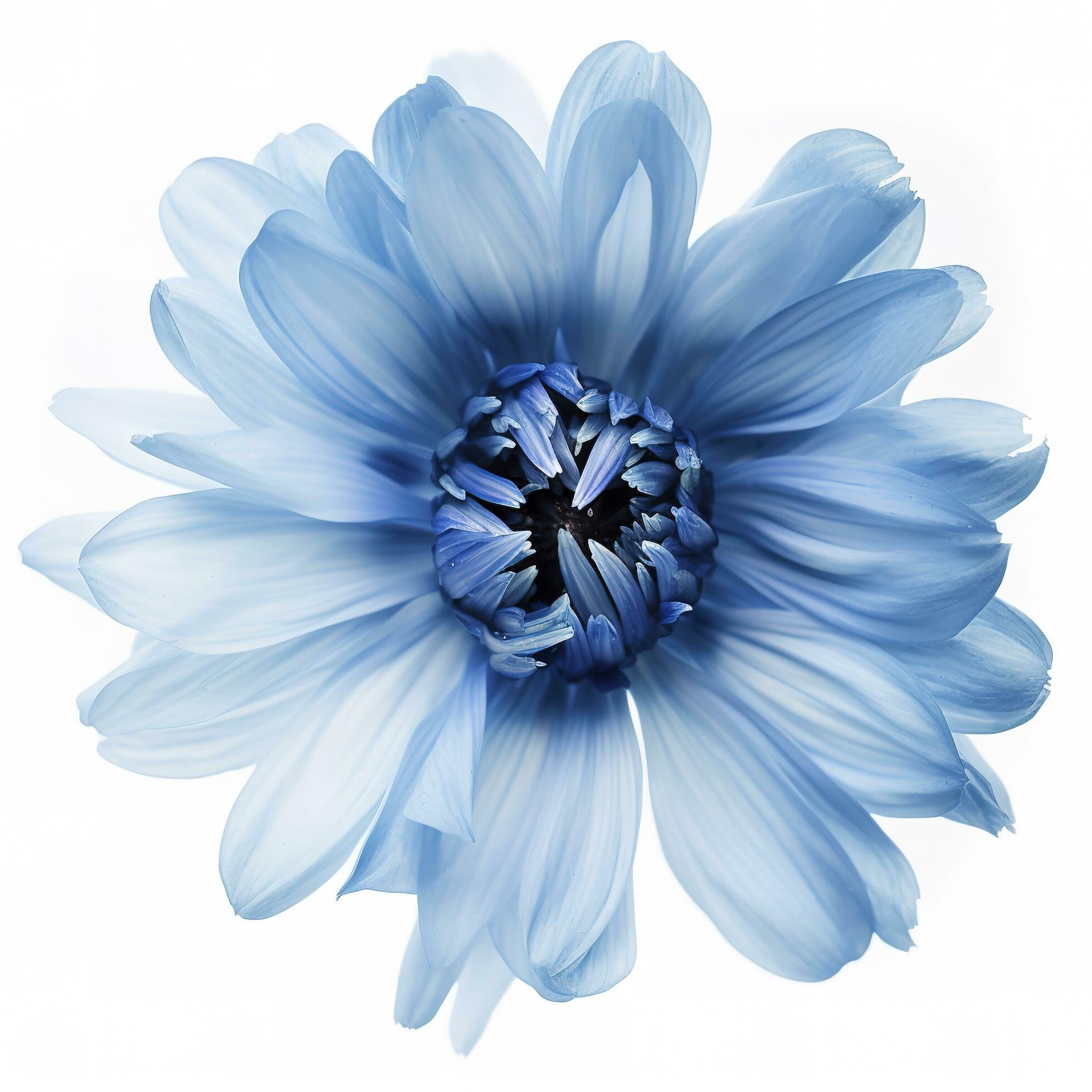 Blue flower isolated on white background, png with transparency , generate ai Stock Free