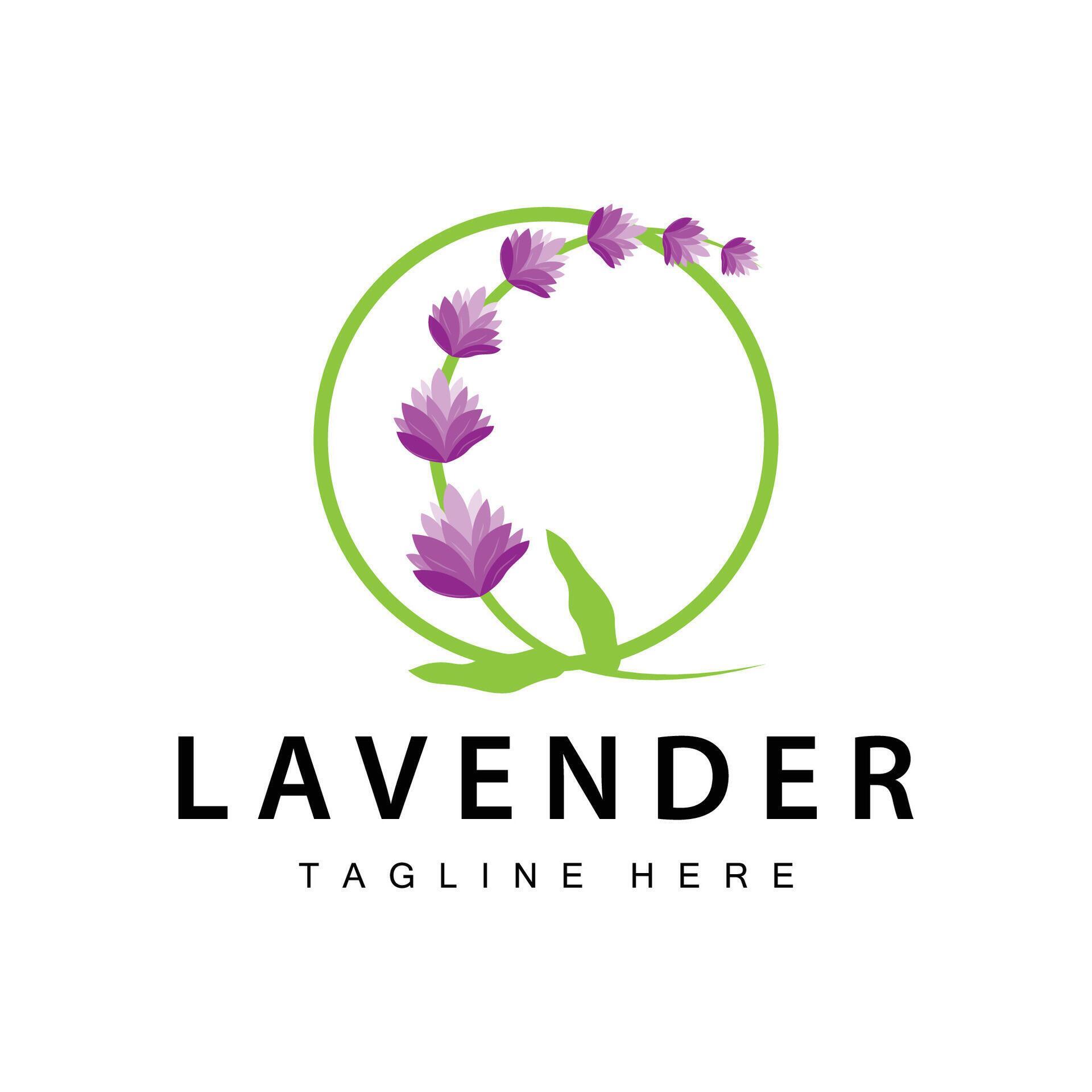 Lavender logo simple design vector cosmetic plant purple color and aromatherapy lavender flower garden template Stock Free