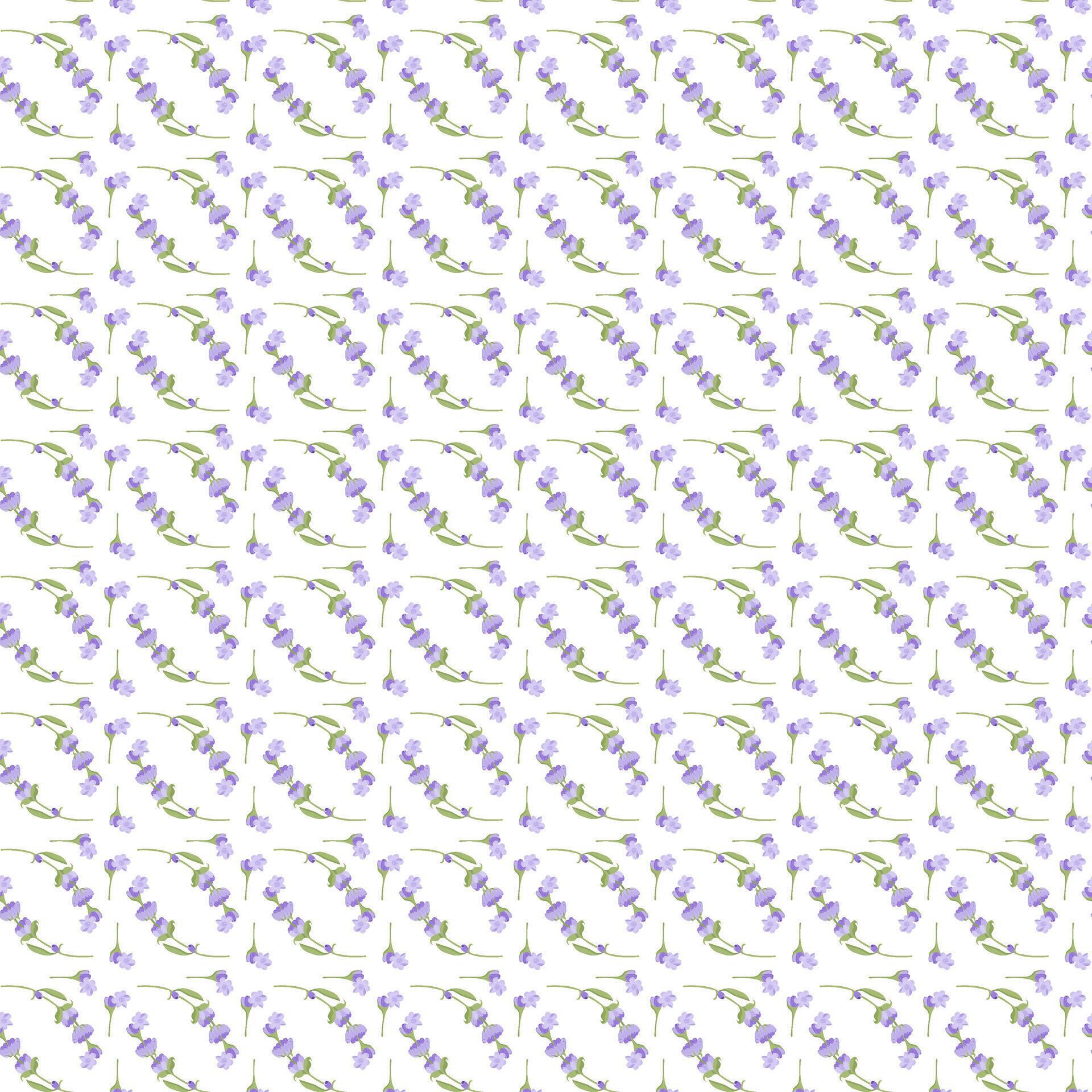 A sprig of lavender. Purple flower. Seamless pattern. illustration. Stock Free