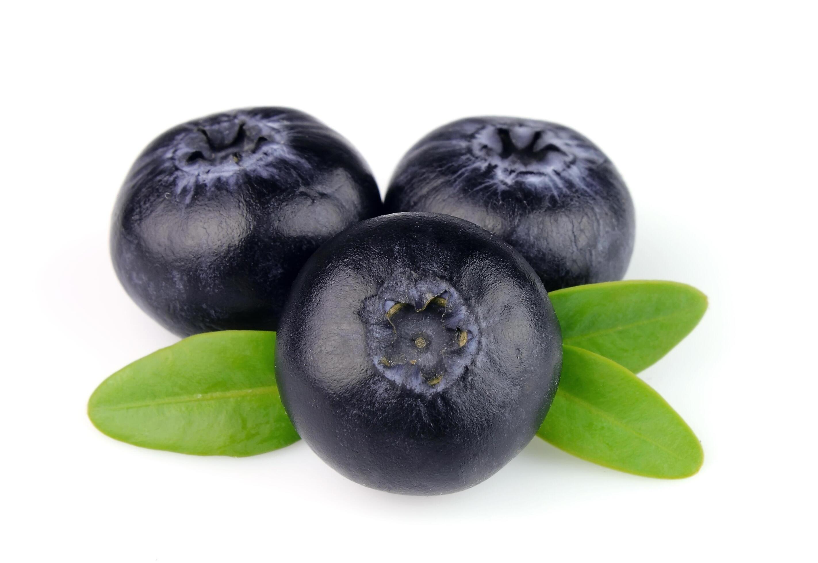 Sweet blueberries on white backgrounds Stock Free