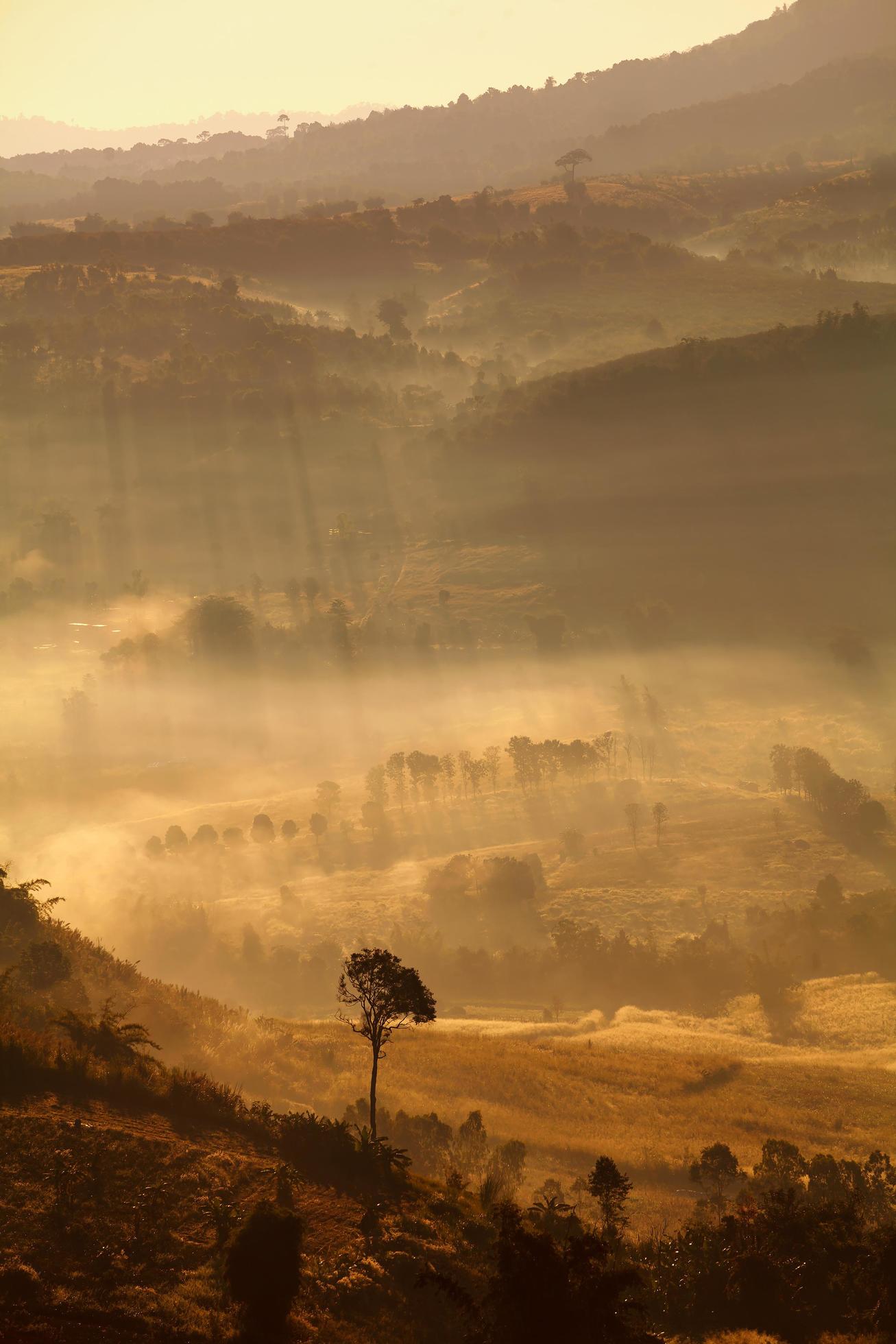 Misty morning sunrise in Khao Takhian Ngo View Point at Khao-kho Phetchabun,Thailand Stock Free