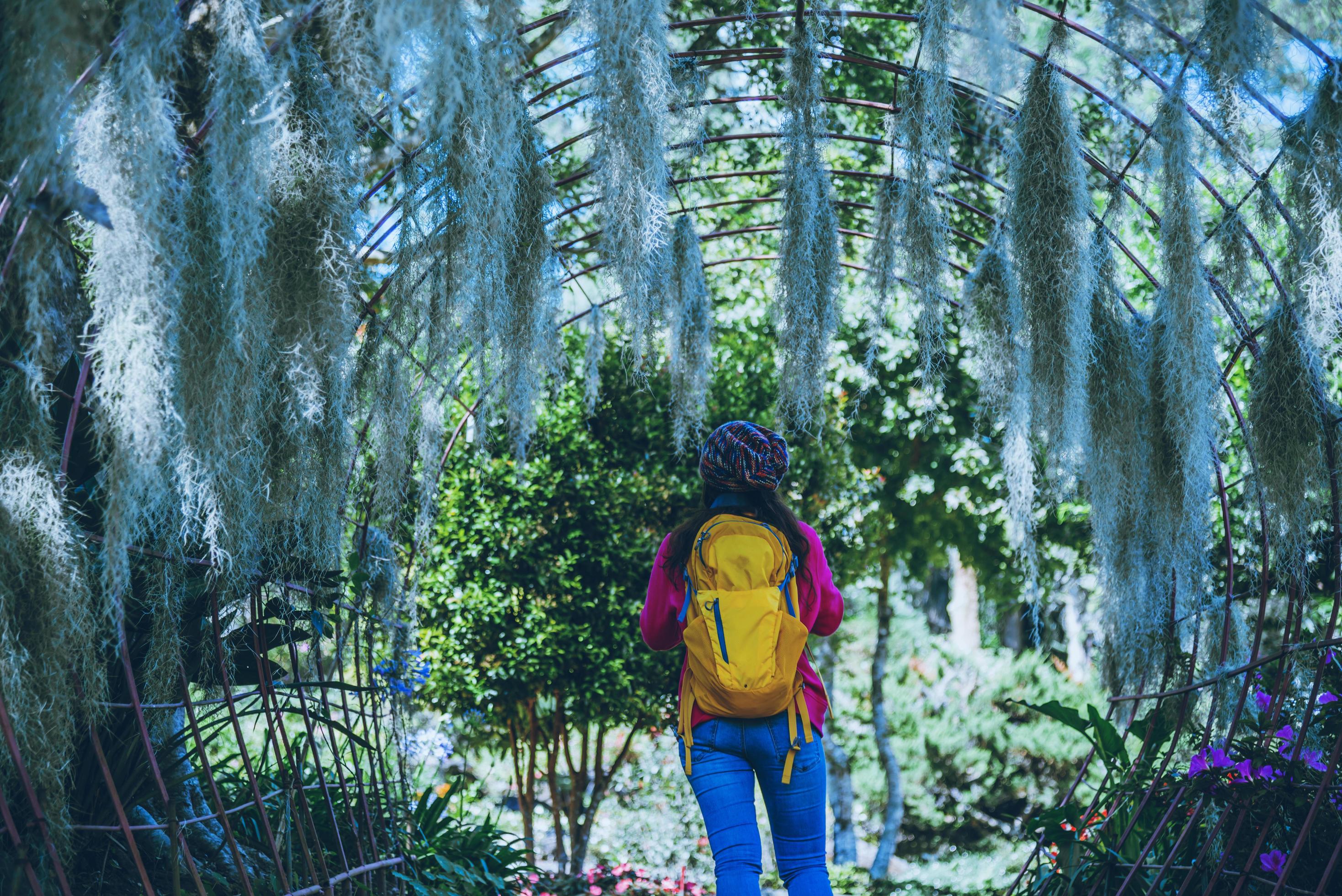 Women travel photograph Nature flower in the public park. take pictures spanish moss tree arch suitable as background. Stock Free