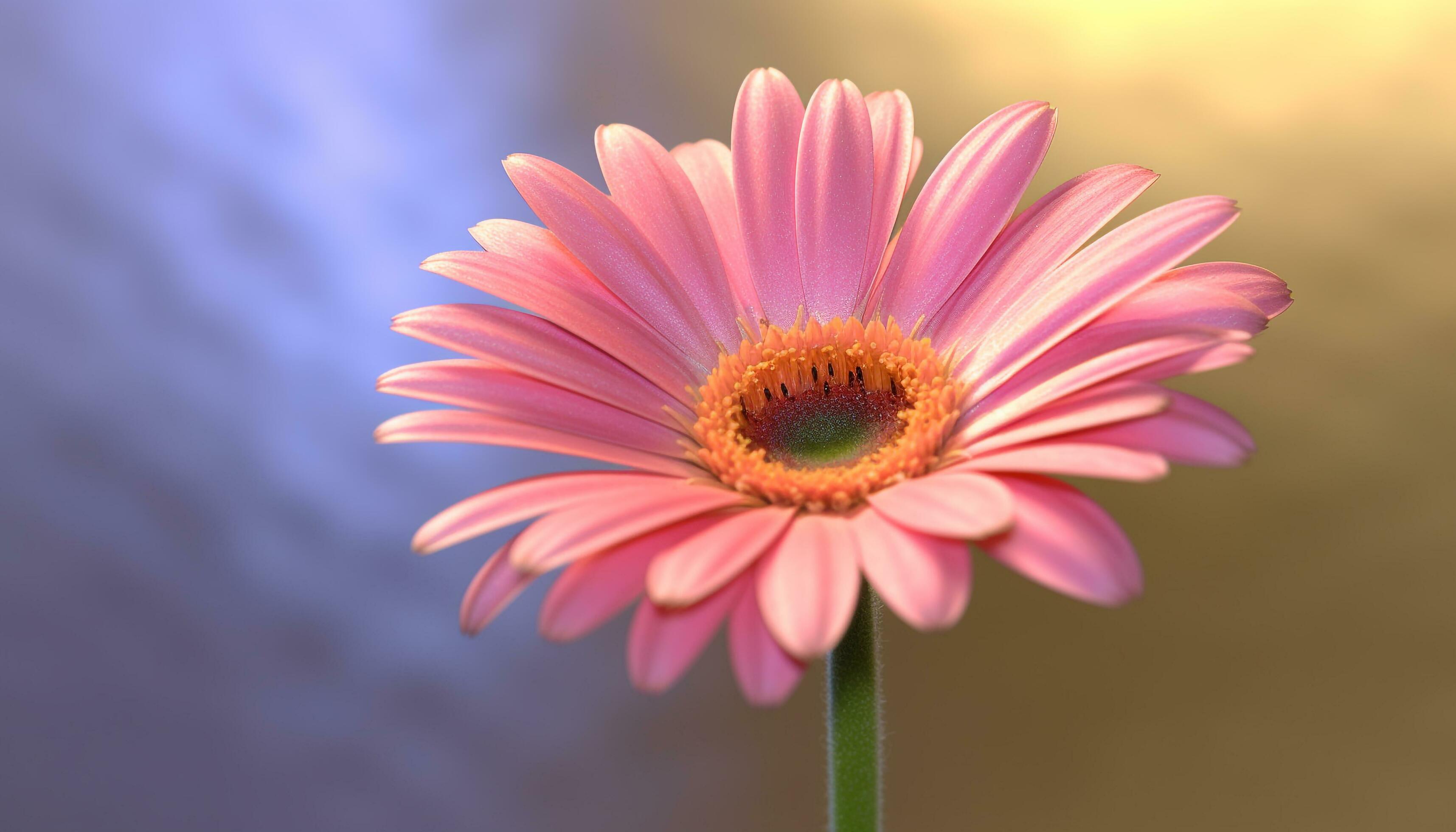 Close up nature image of flower plant in full bloom generated by AI Stock Free