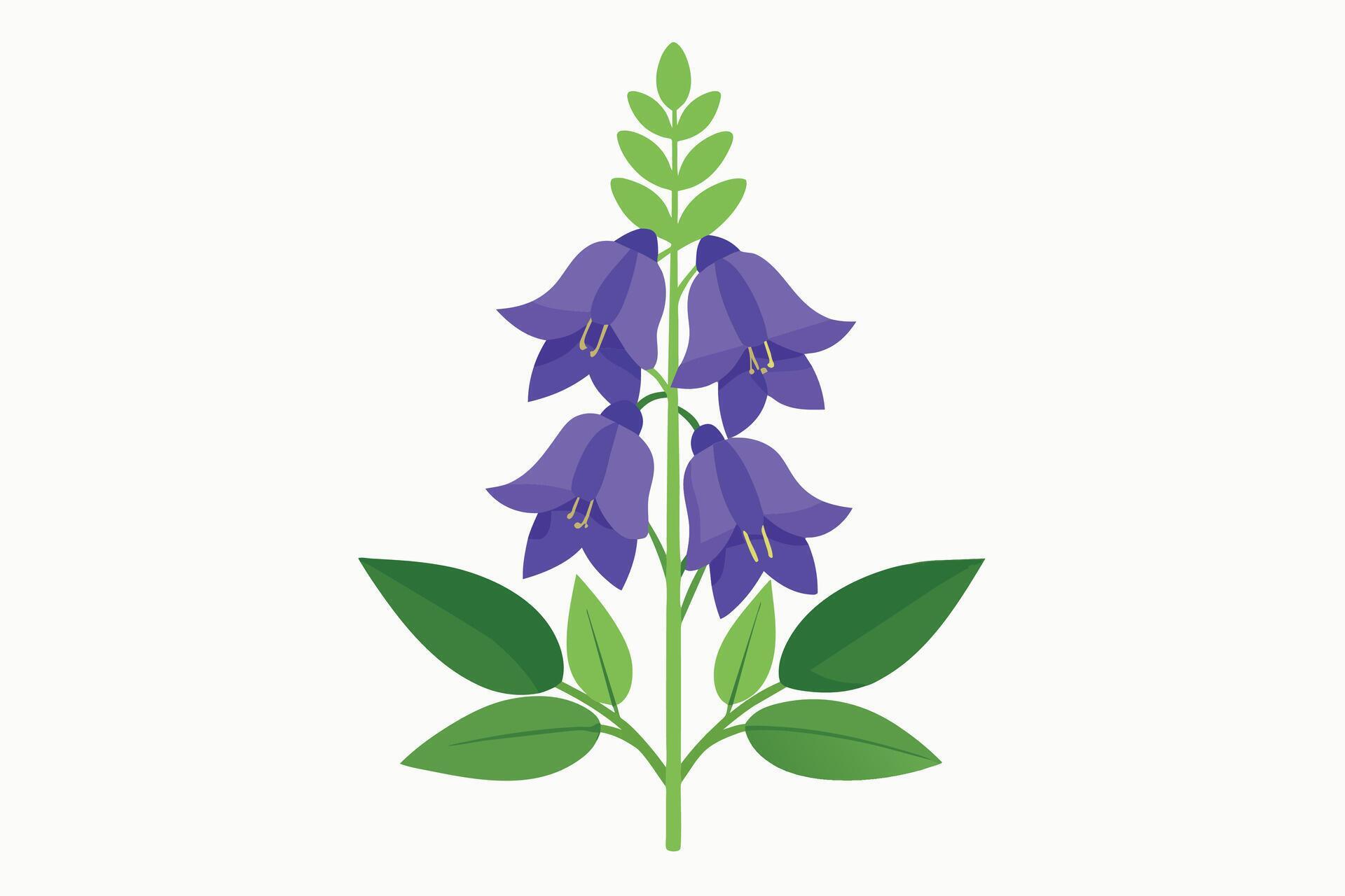 Monkshood Flower Vector Illustration Isolated on a Clean Background Stock Free