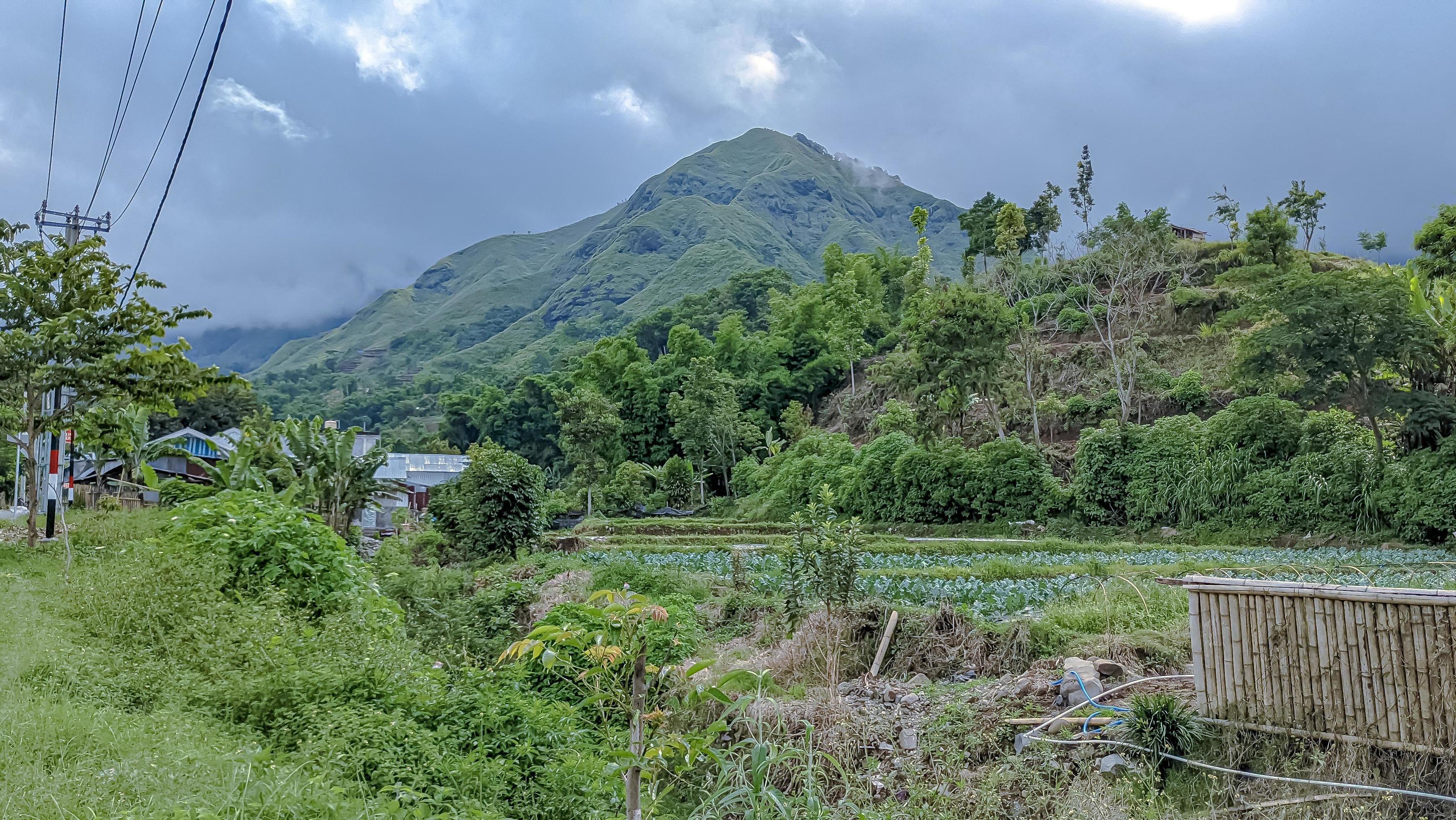 beautiful scenery in Sembalun near Rinjani volcano in Lombok, Indonesia. Travel, freedom and active lifestyle concept. Stock Free