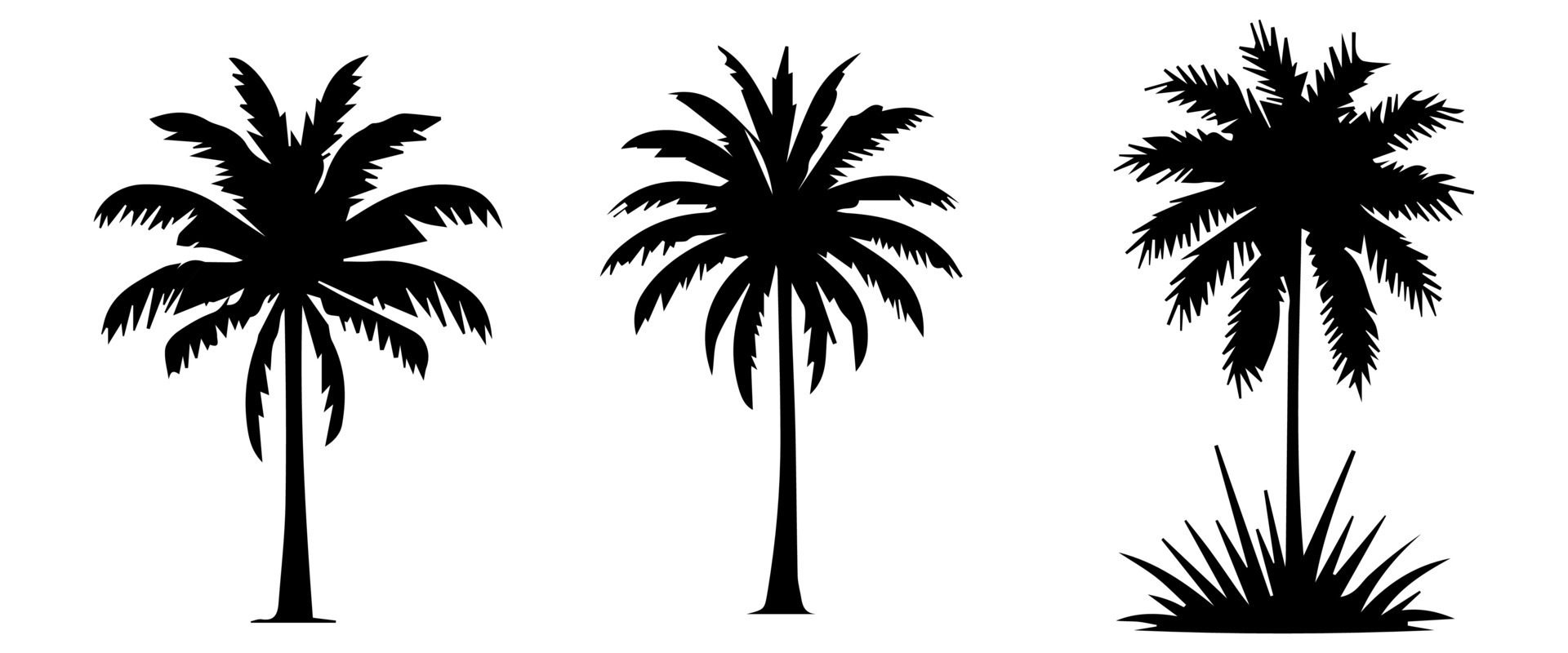 Black palm trees set isolated on white background. Palm silhouettes. Design of palm trees for posters, banners and promotional items. illustration Free Vector