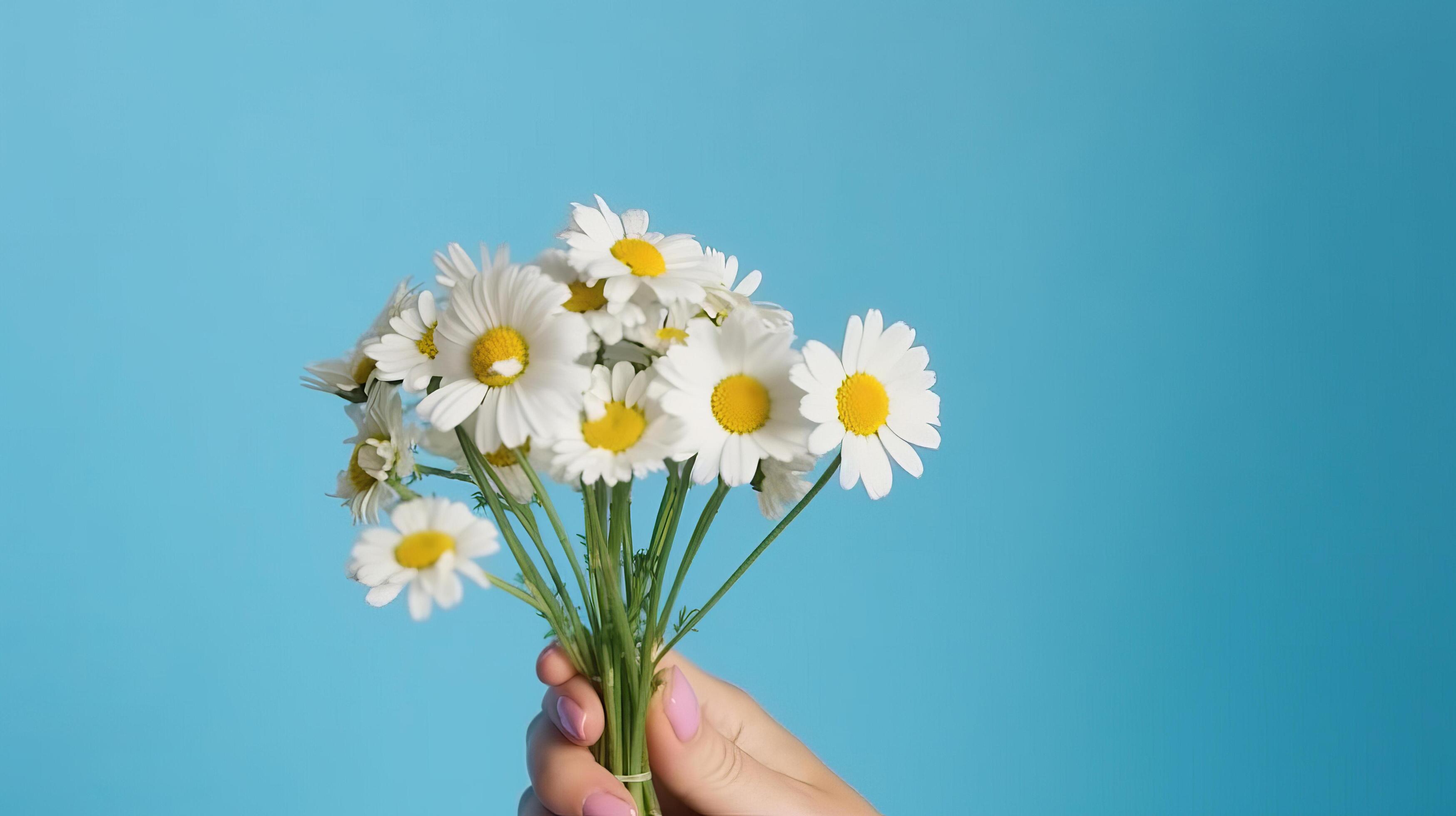 Hands with daisy flowers. Illustration Stock Free