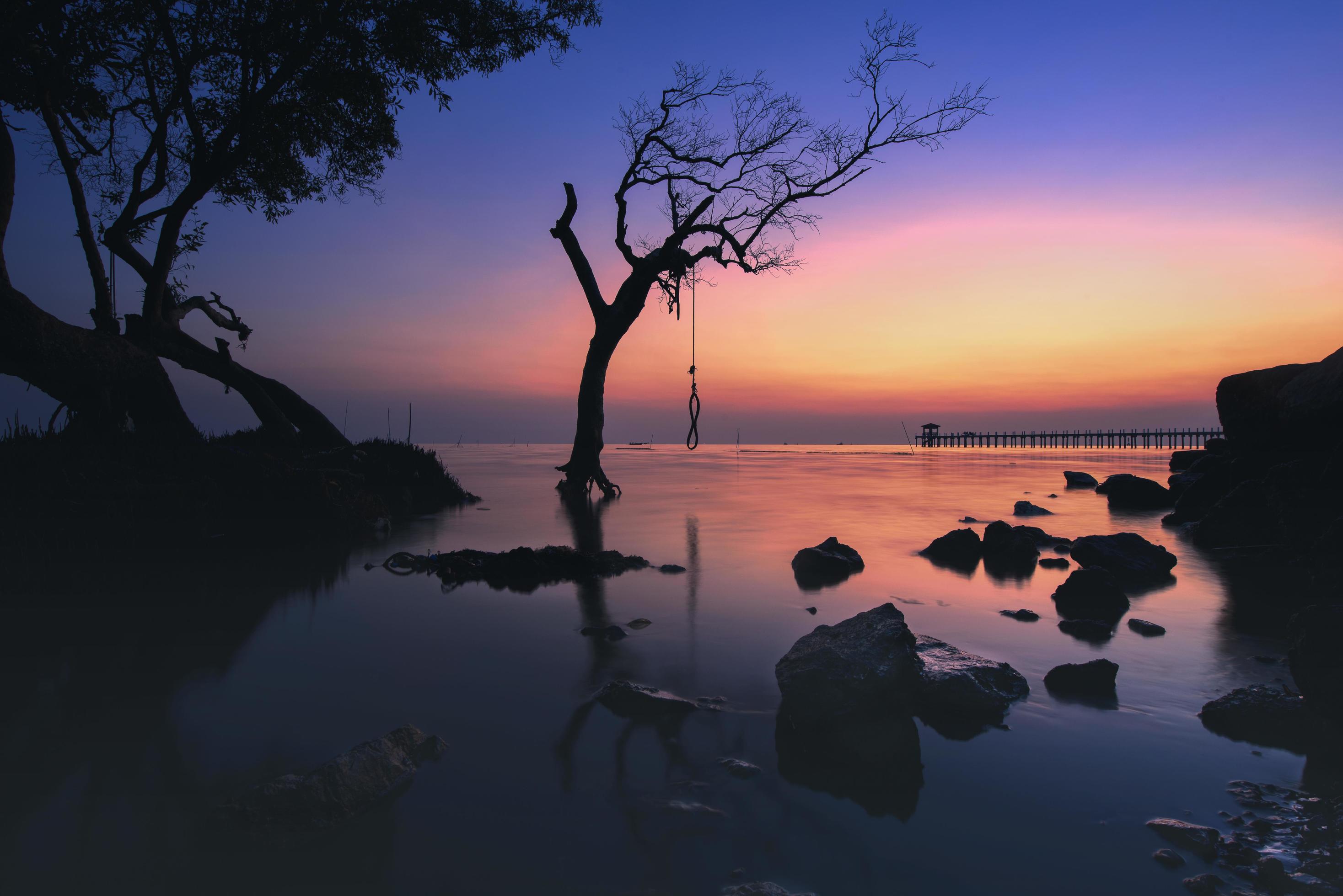 Silhouette of a tree at sunset Stock Free