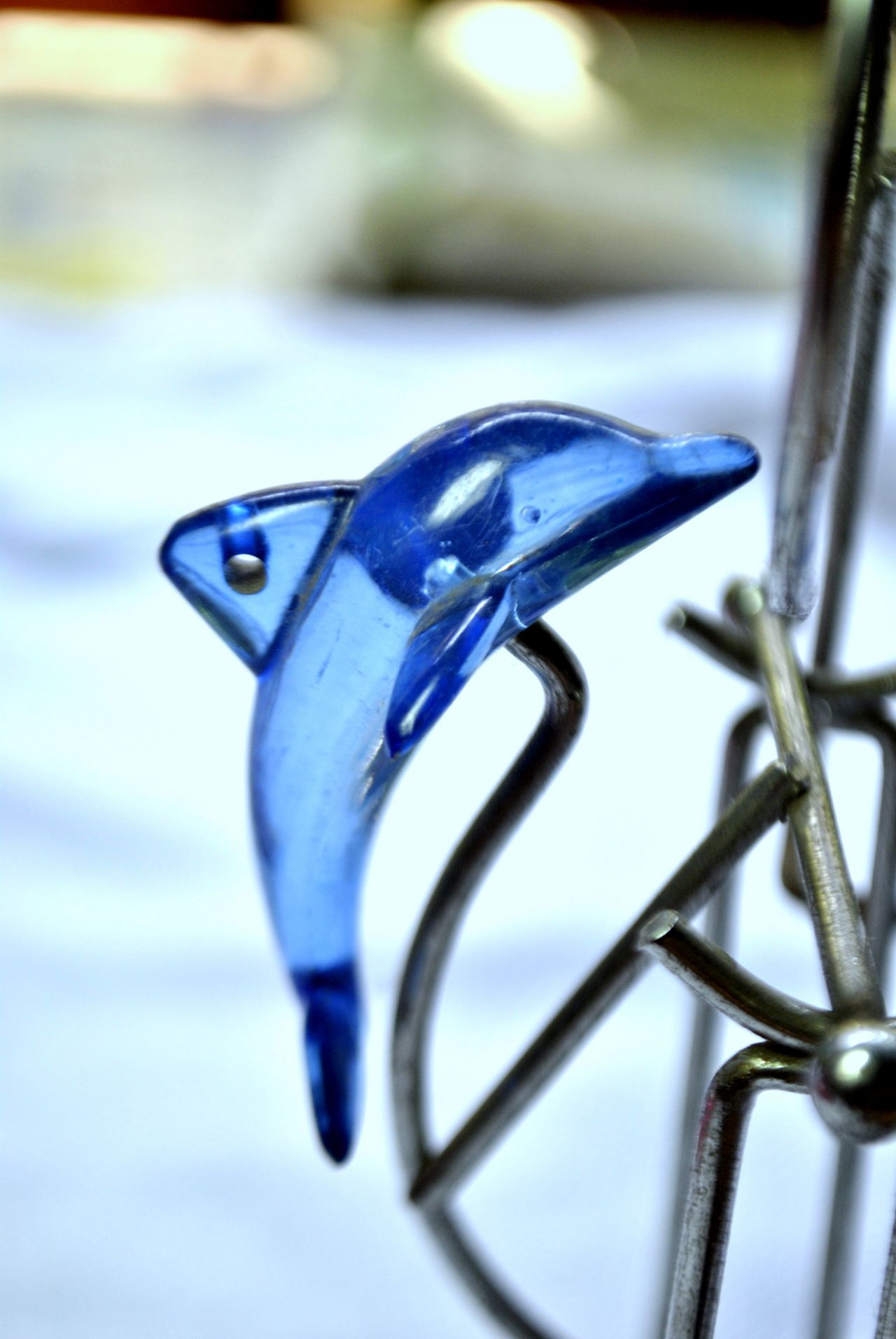 Dolphin Glass Stock Free