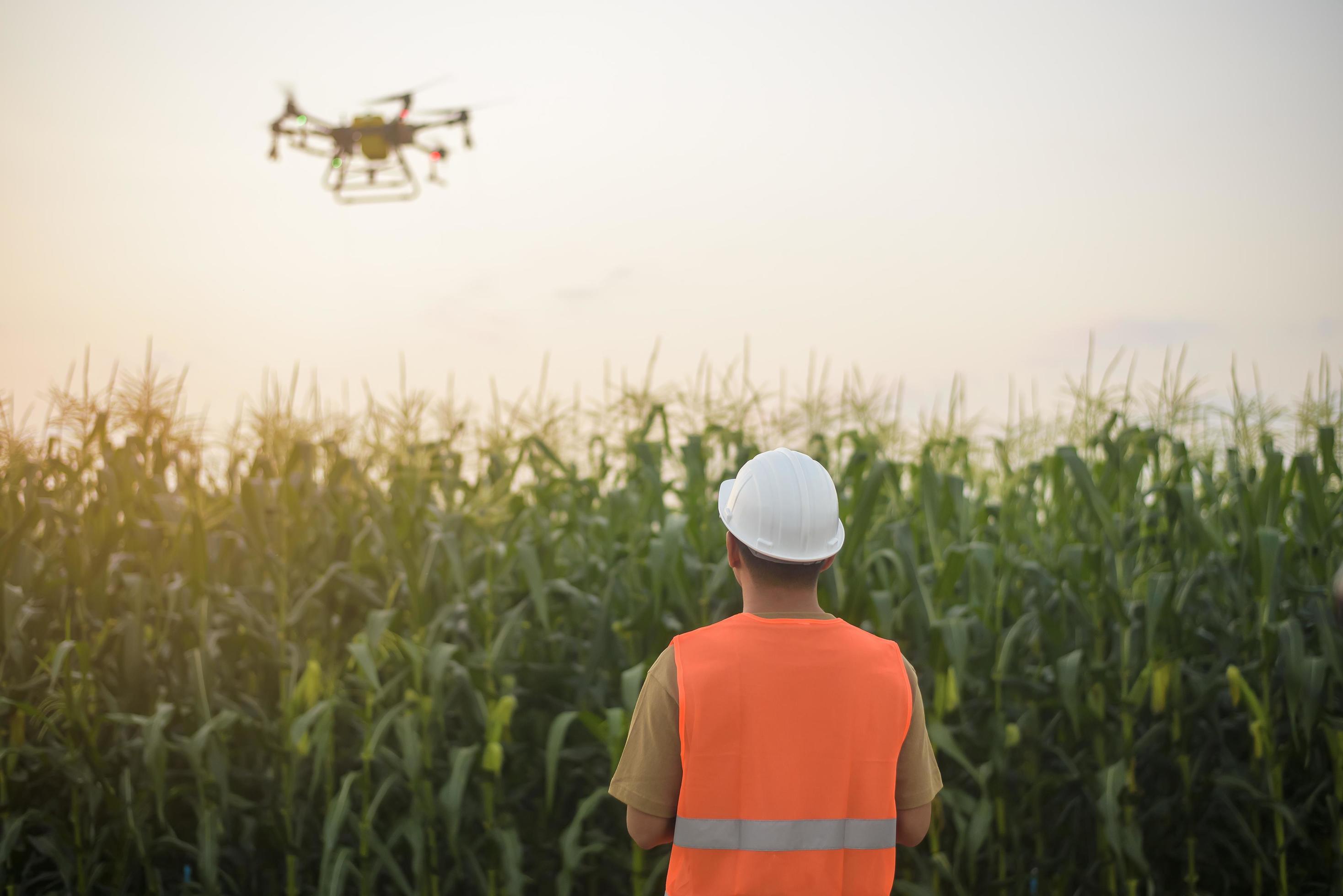 Male engineer controlling drone spraying fertilizer and pesticide over farmland,High technology innovations and smart farming Stock Free