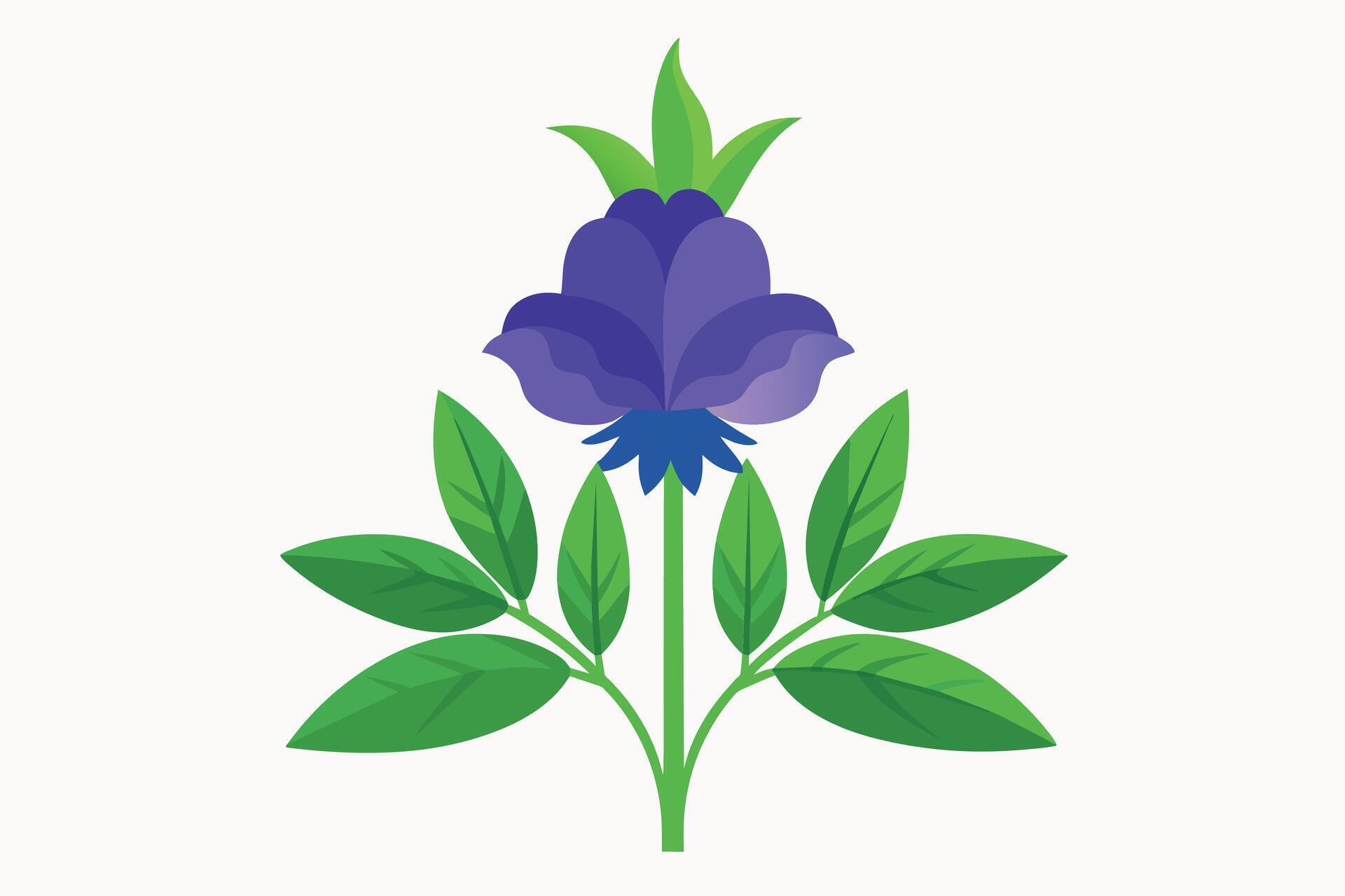 Monkshood Flower Vector Illustration Isolated on a Clean Background Stock Free