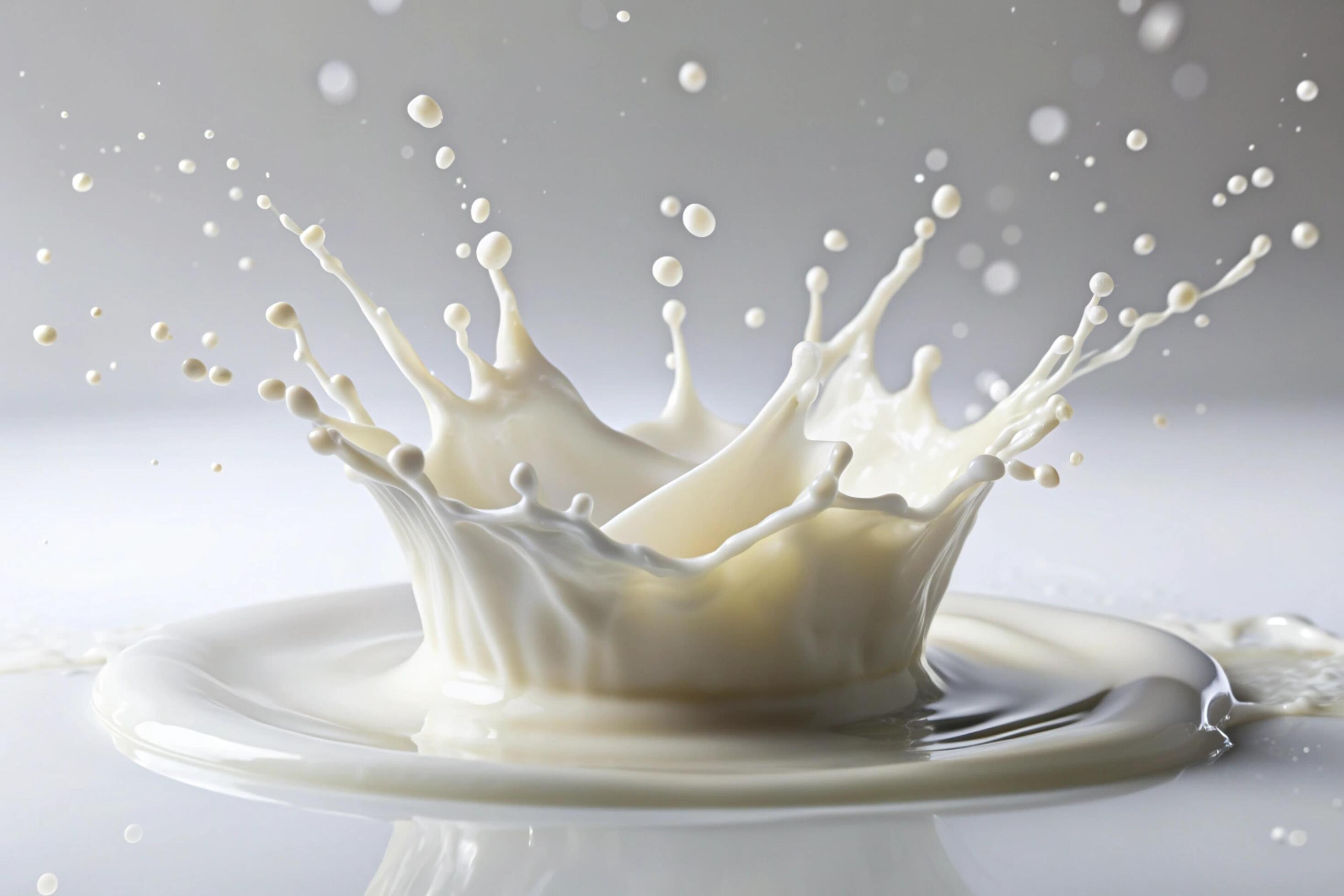 Milk splashes on white background Stock Free