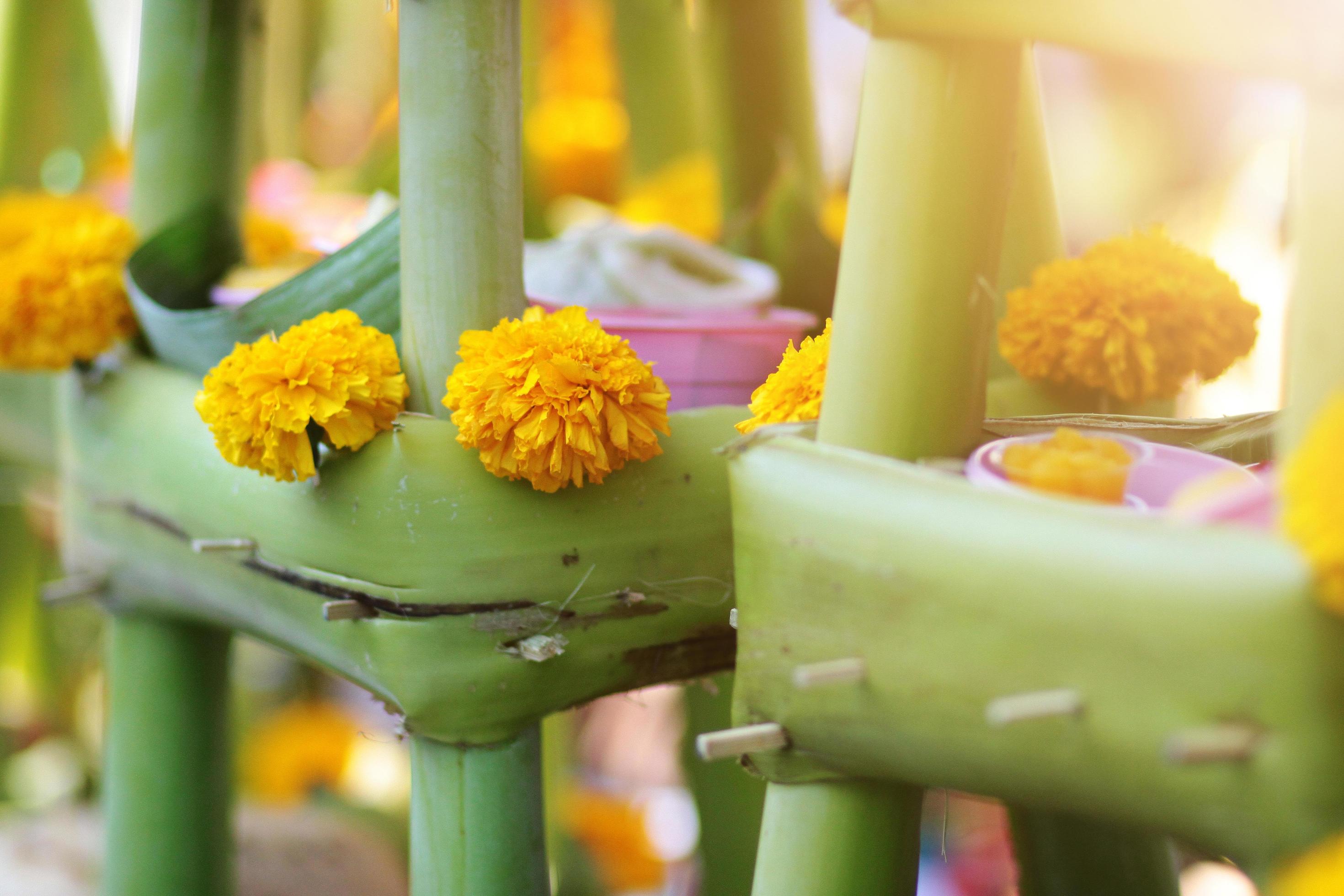 Green Banana leaf and Marigold flowers decoration on table for belief and Worship the gods of Hinduism in Thailand Stock Free