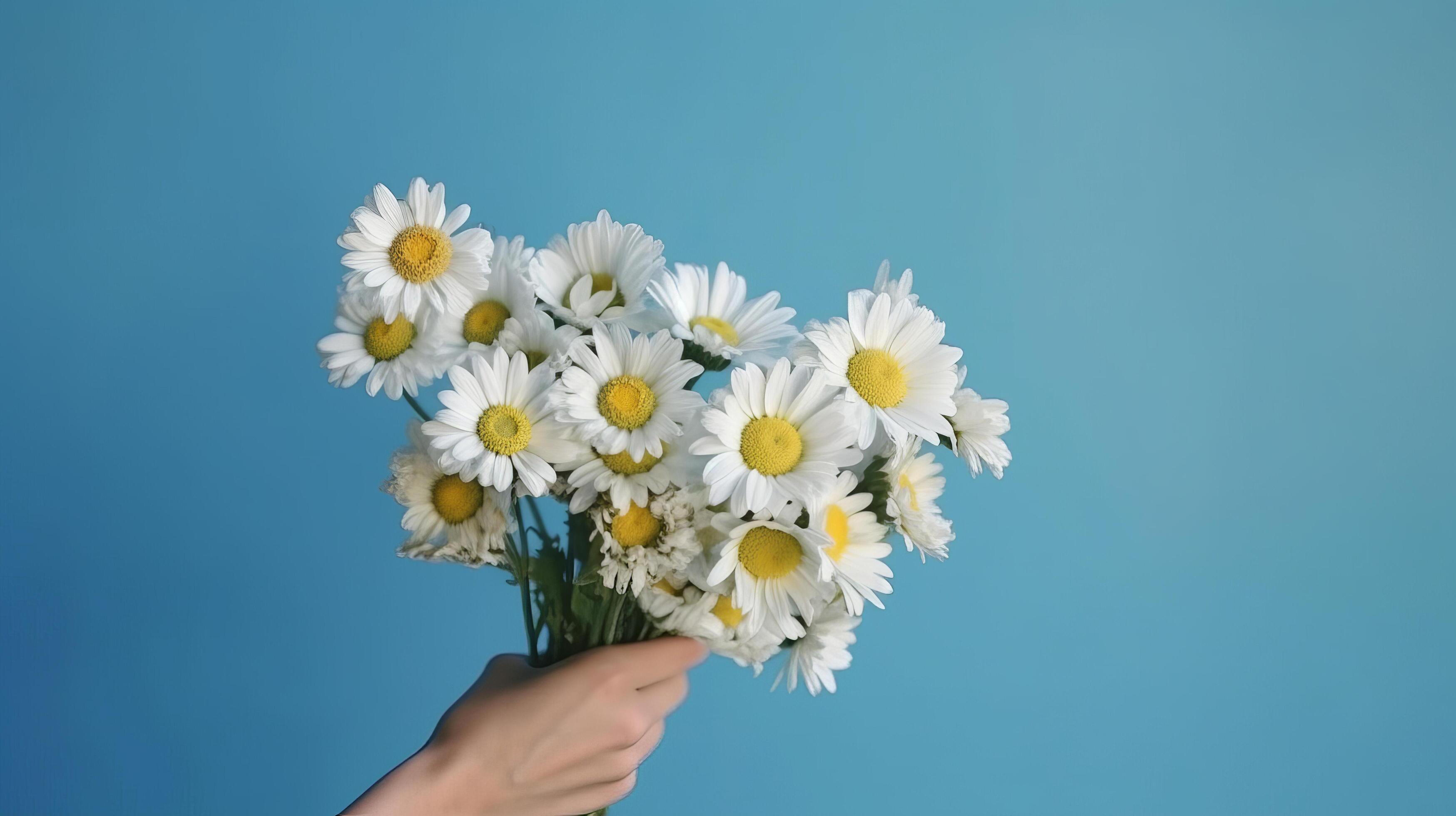 Hands with daisy flowers. Illustration Stock Free