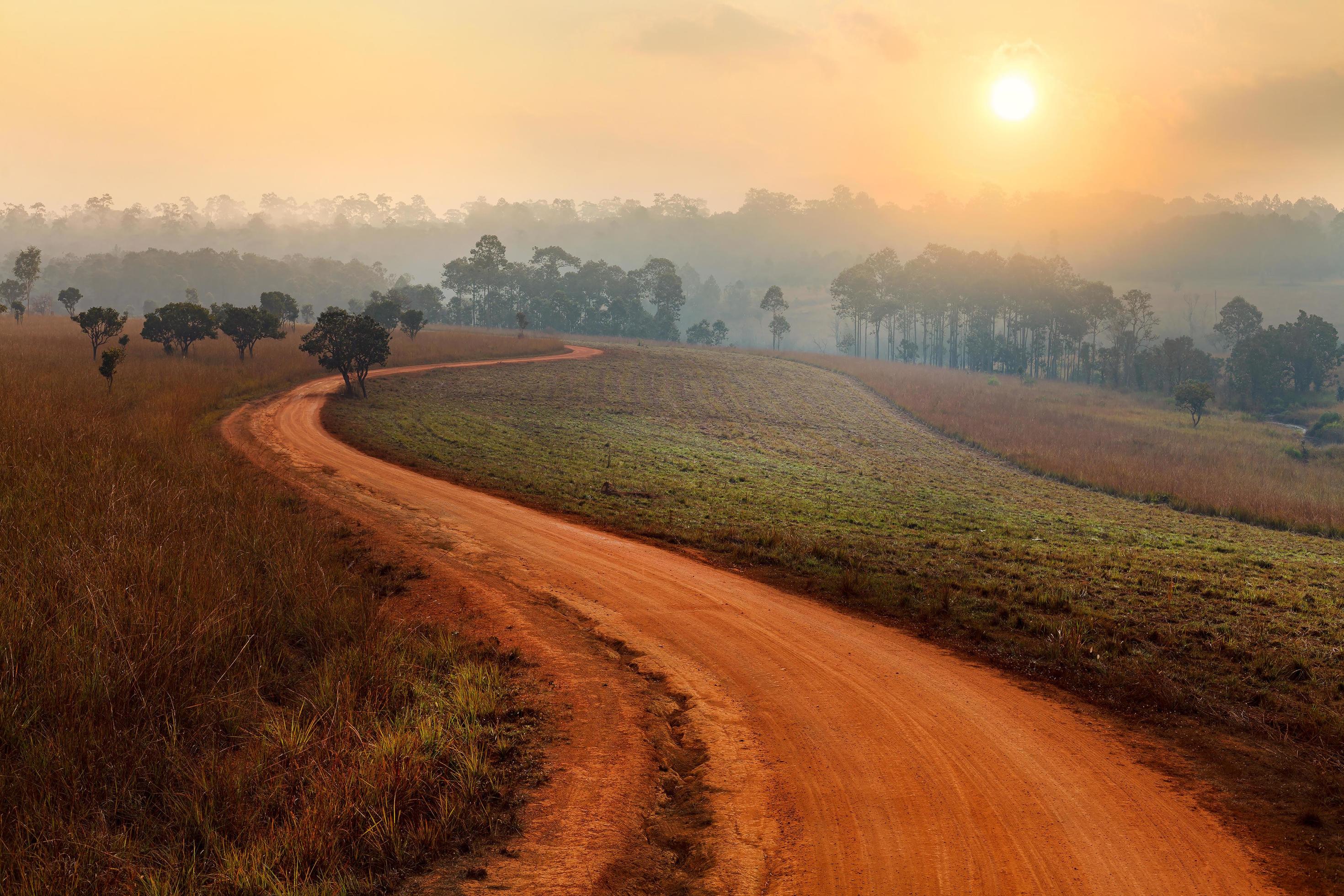 Dirt road leading through the early spring forest on a foggy morning at Thung Salang Luang National Park Phetchabun,Thailand Stock Free