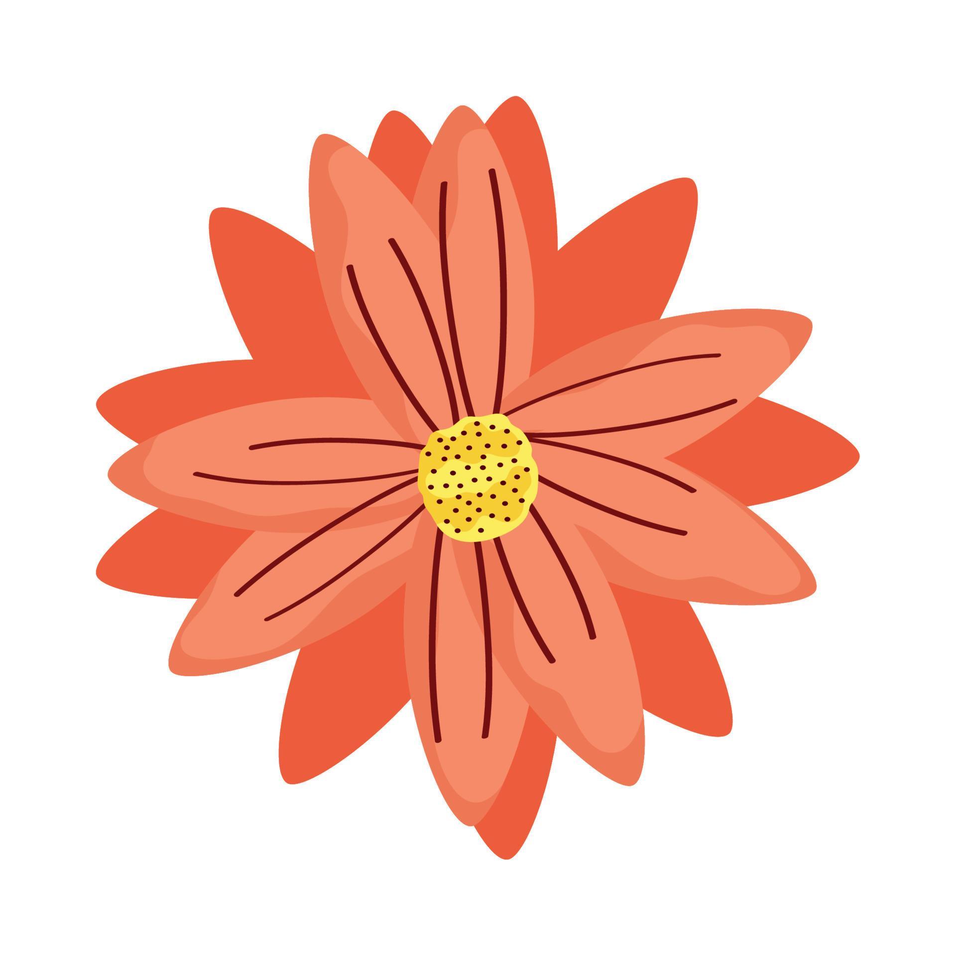 orange flower garden decoration Stock Free