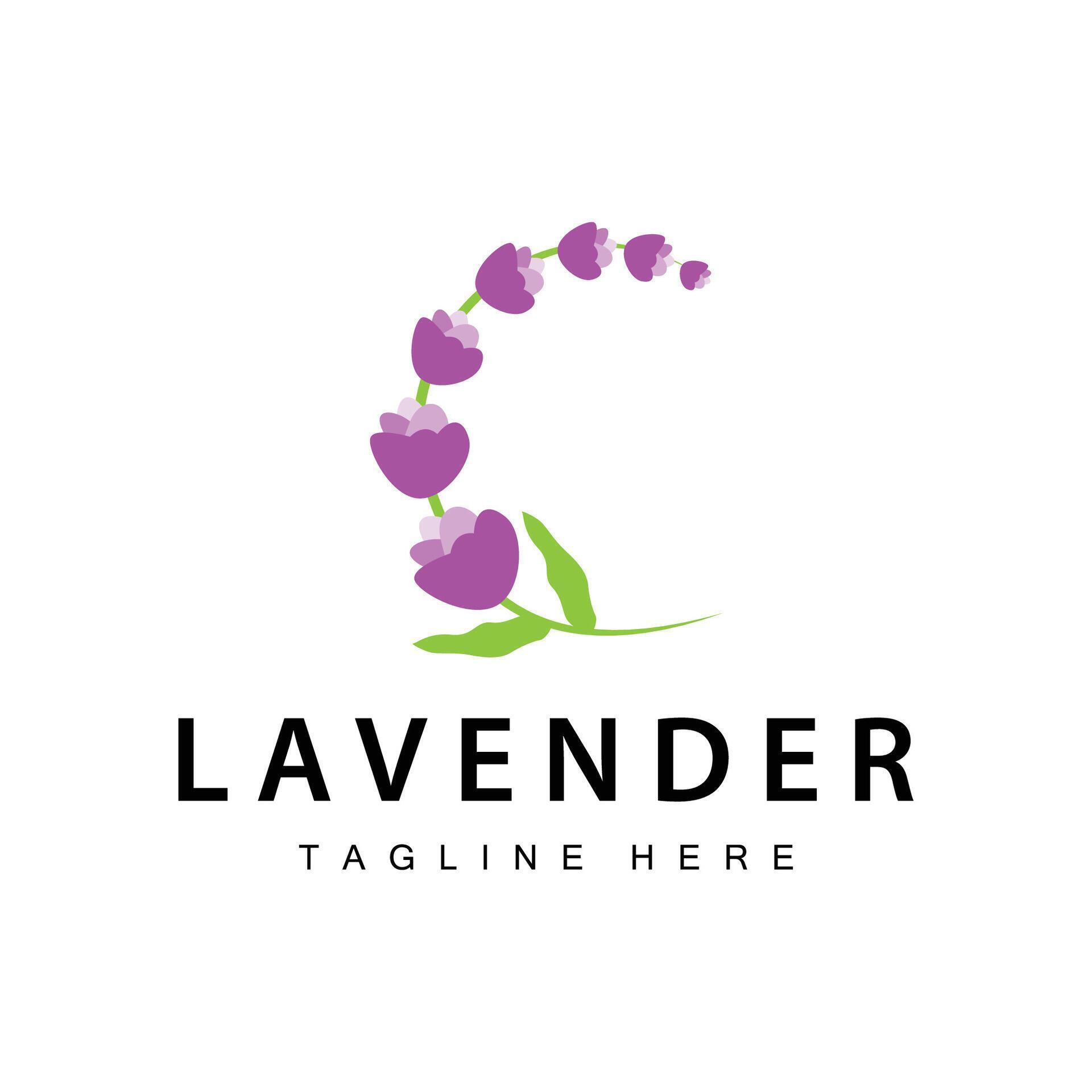 Lavender logo simple design vector cosmetic plant purple color and aromatherapy lavender flower garden template Stock Free