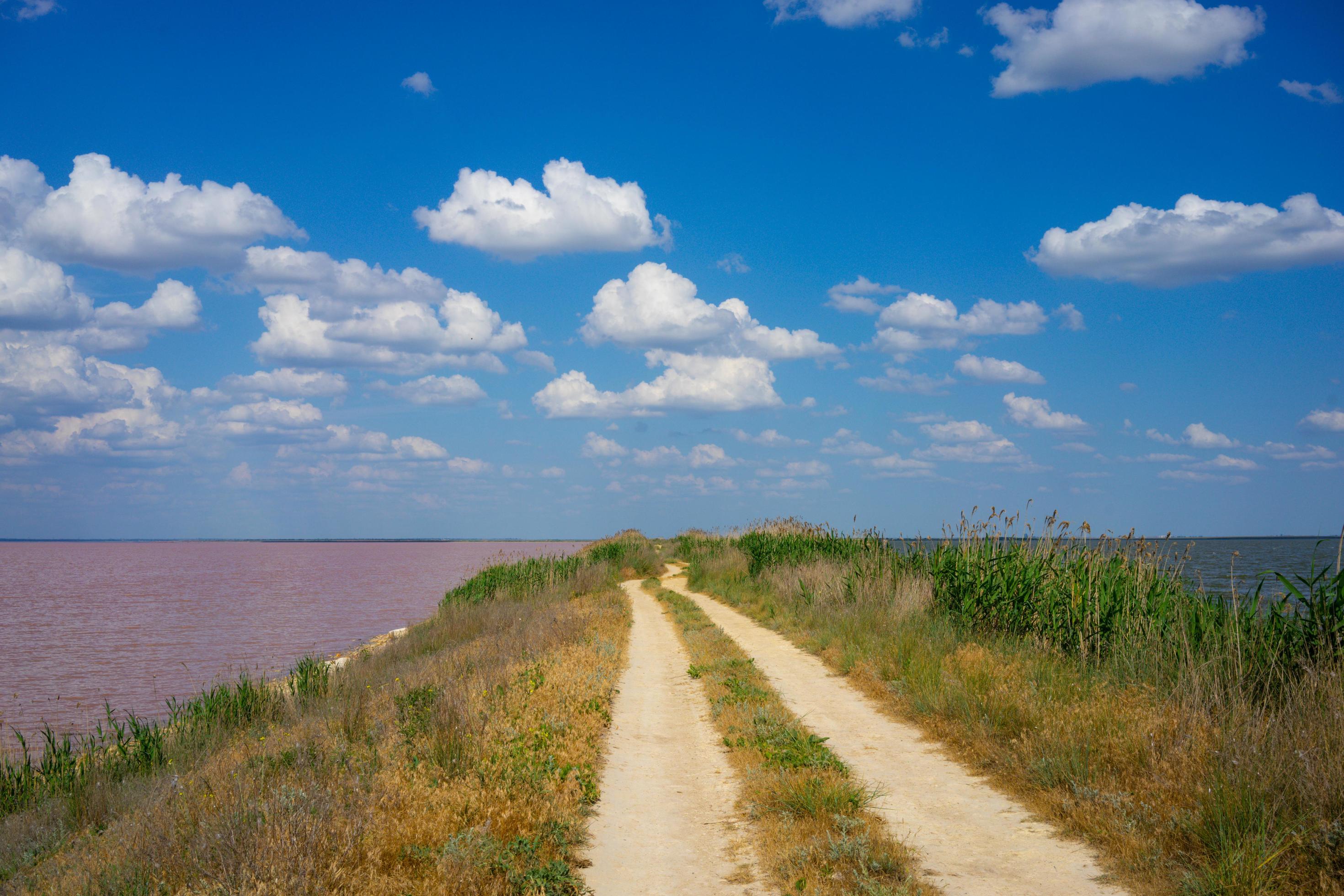 Natural landscape with a fantastic pink lake Stock Free