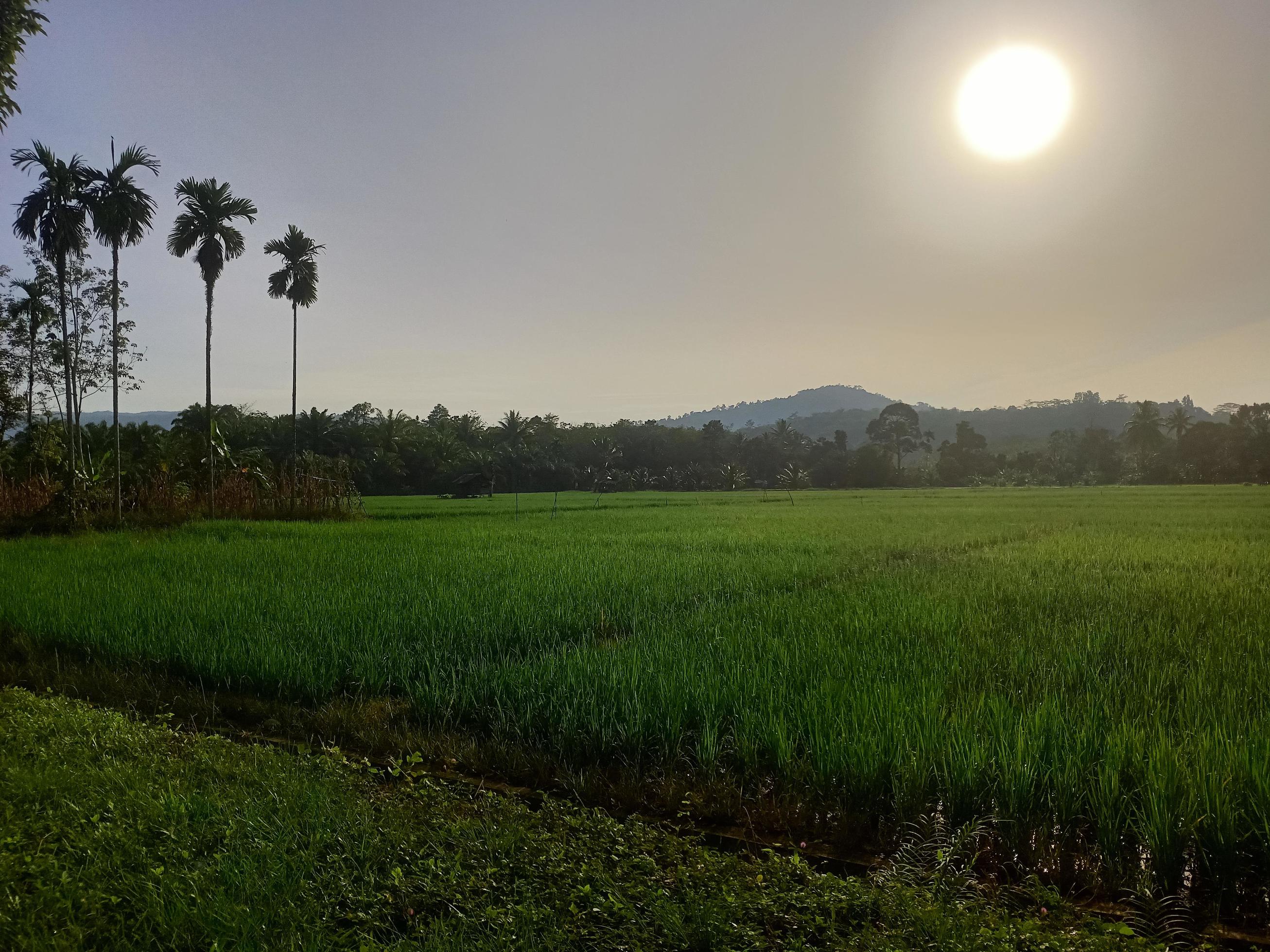 Beautiful natural scenery during the day, the sky is blue, the clouds Stock Free