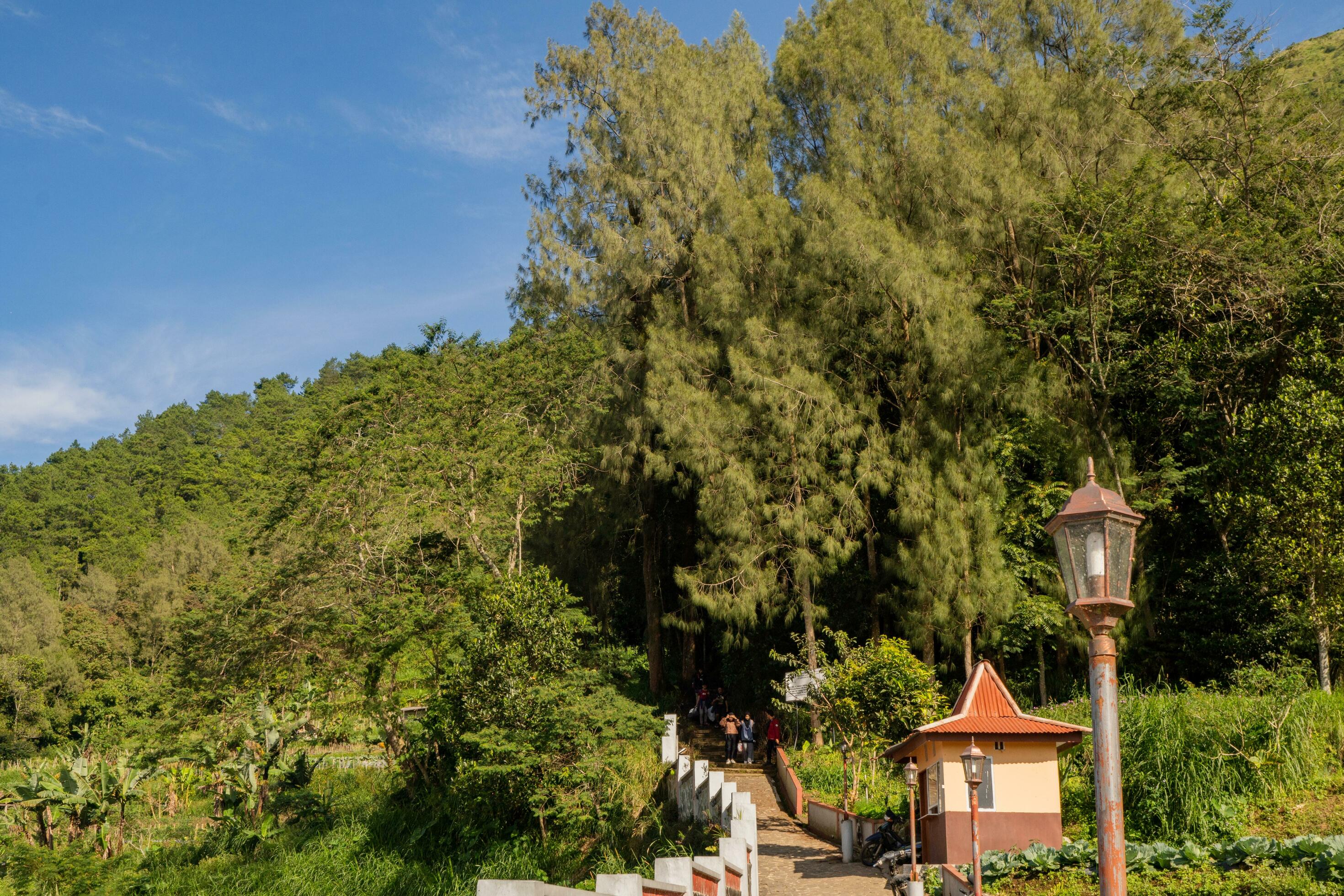 Outdoor lampion on the mountain on central java Semarang. The photo is suitable to use for adventure content media, nature poster and forest background. Stock Free