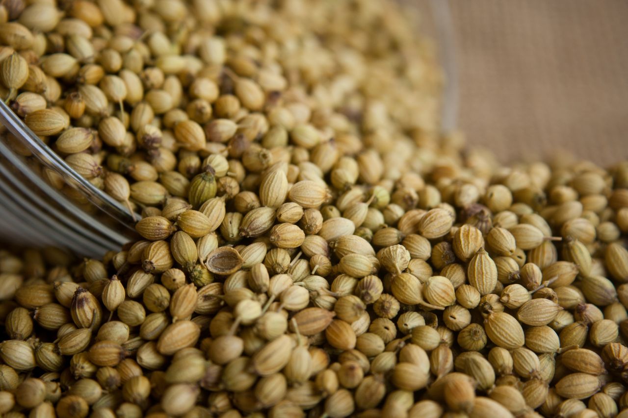 Coriander Seeds Stock Free