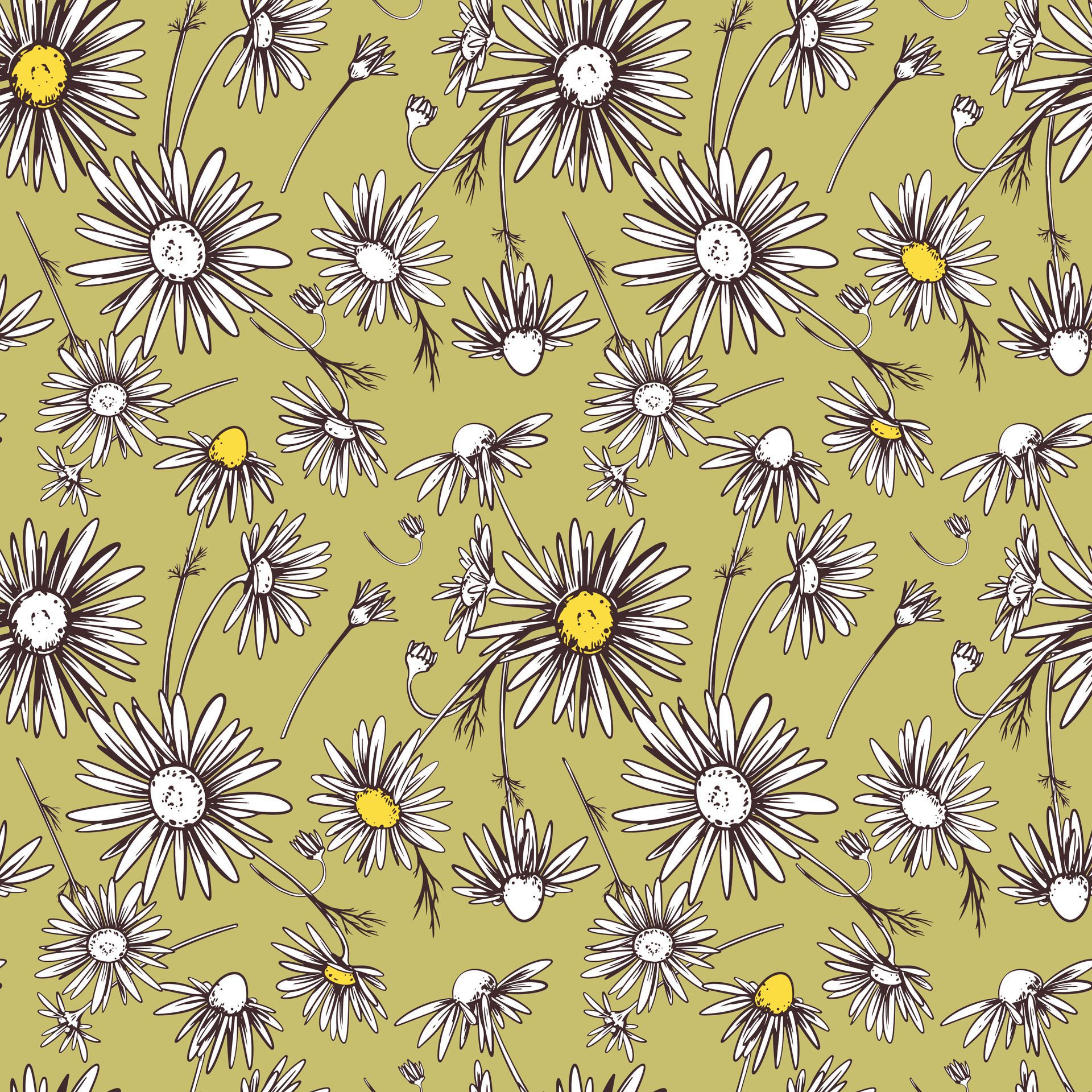 Chamomile illustration, seamless pattern. Daisy wheel flowers with yellow veins on a green background. Design for fabric, wallpaper, wrapping paper. Free Vector