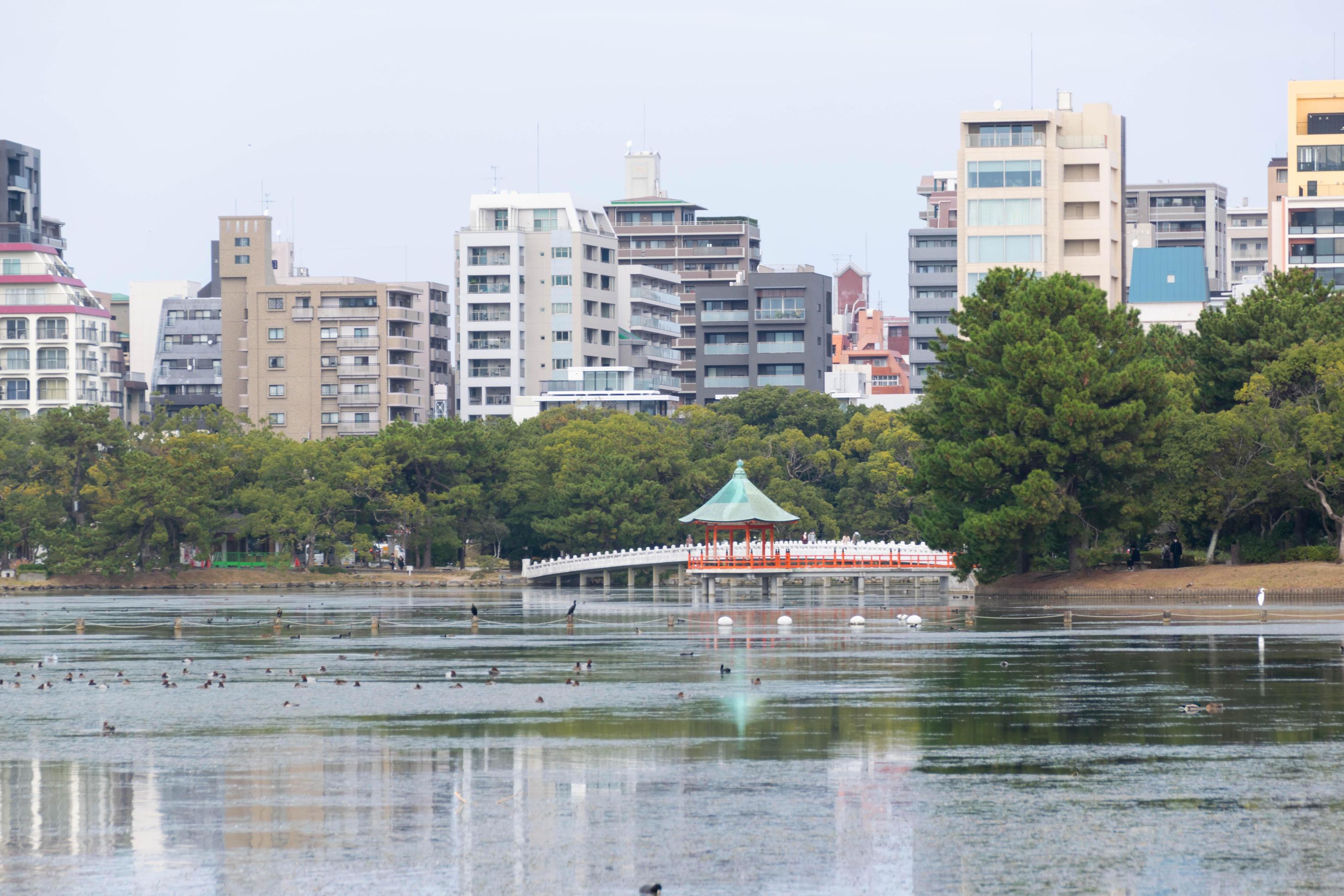 view of city town skyline over the pond lake natural view under daytime in japan, big city with natural lake public Stock Free