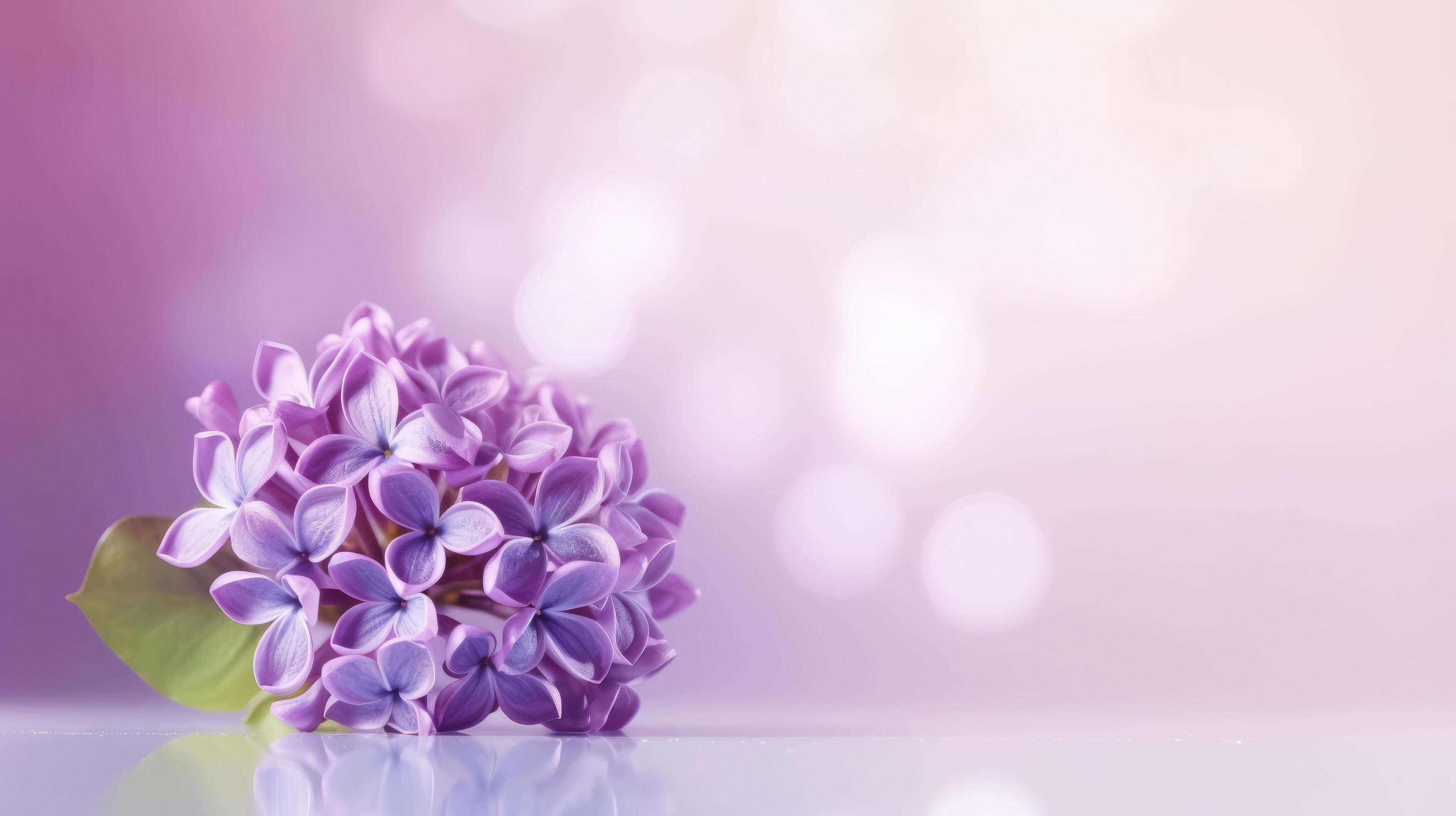 Lilac flower bokeh background. Illustration Stock Free