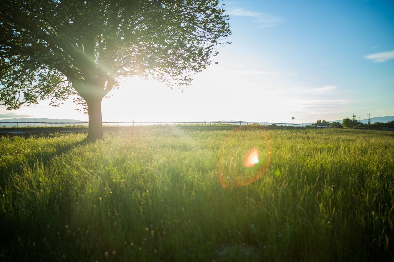 Nature Sky Summer Sun Stock Free