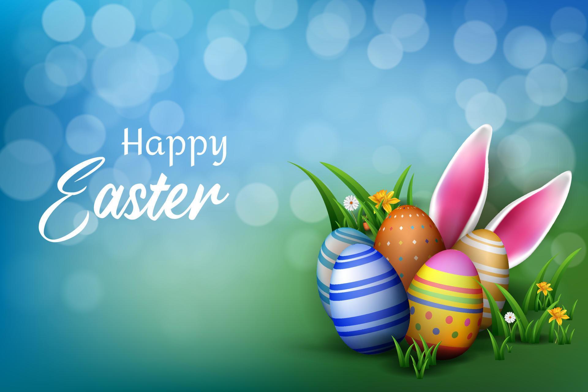 easter banner decoration with creative grasses, easter eggs, flower and wooden board Stock Free