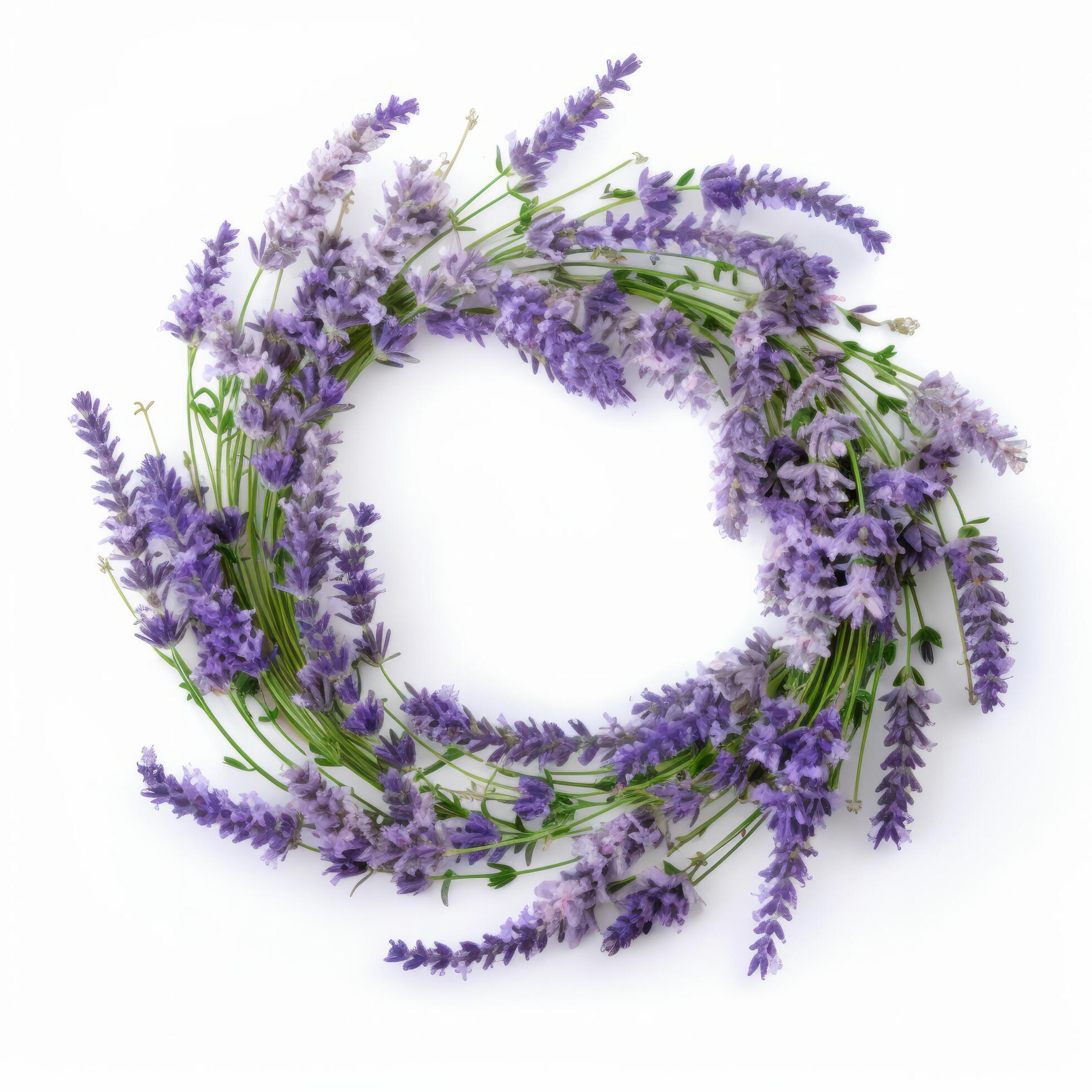 Lavender flower wreath. Illustration Stock Free