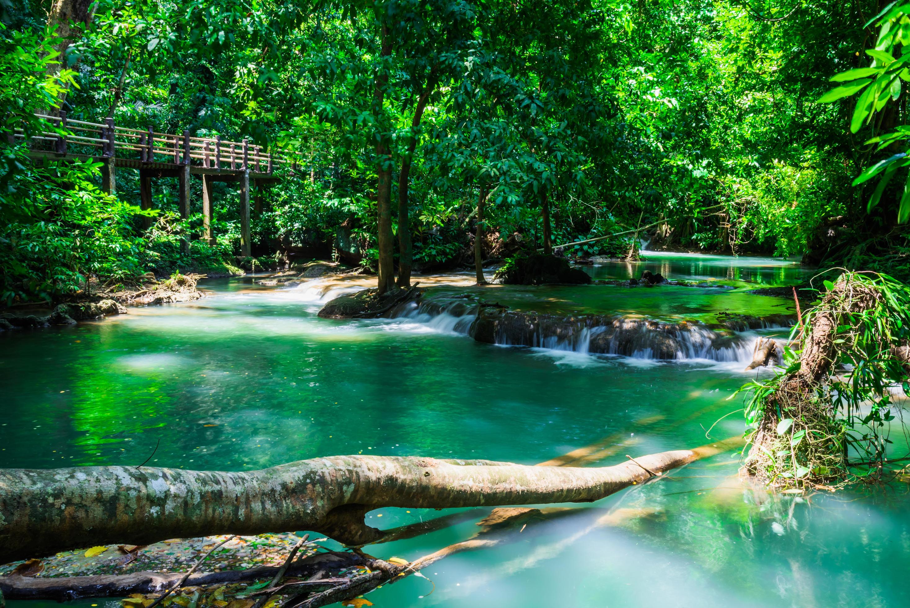 Landscape Waterfall Than Bok Khorani. lake, nature trail, forest, mangrove forest, travel nature, travel Thailand, Nature Study. Attractions. Stock Free