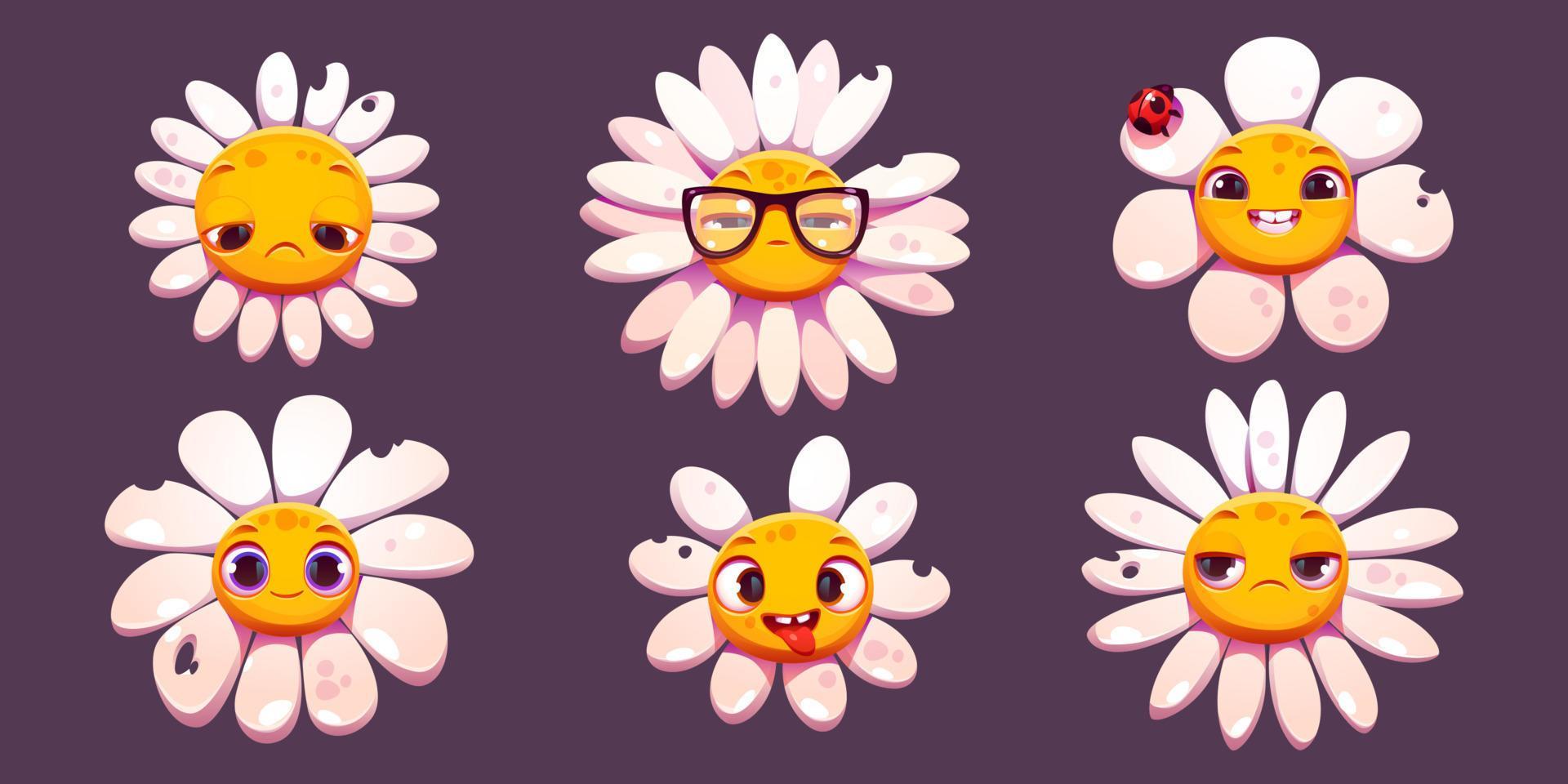 Daisy chamomile face emotions, flower bitten petal Stock Free