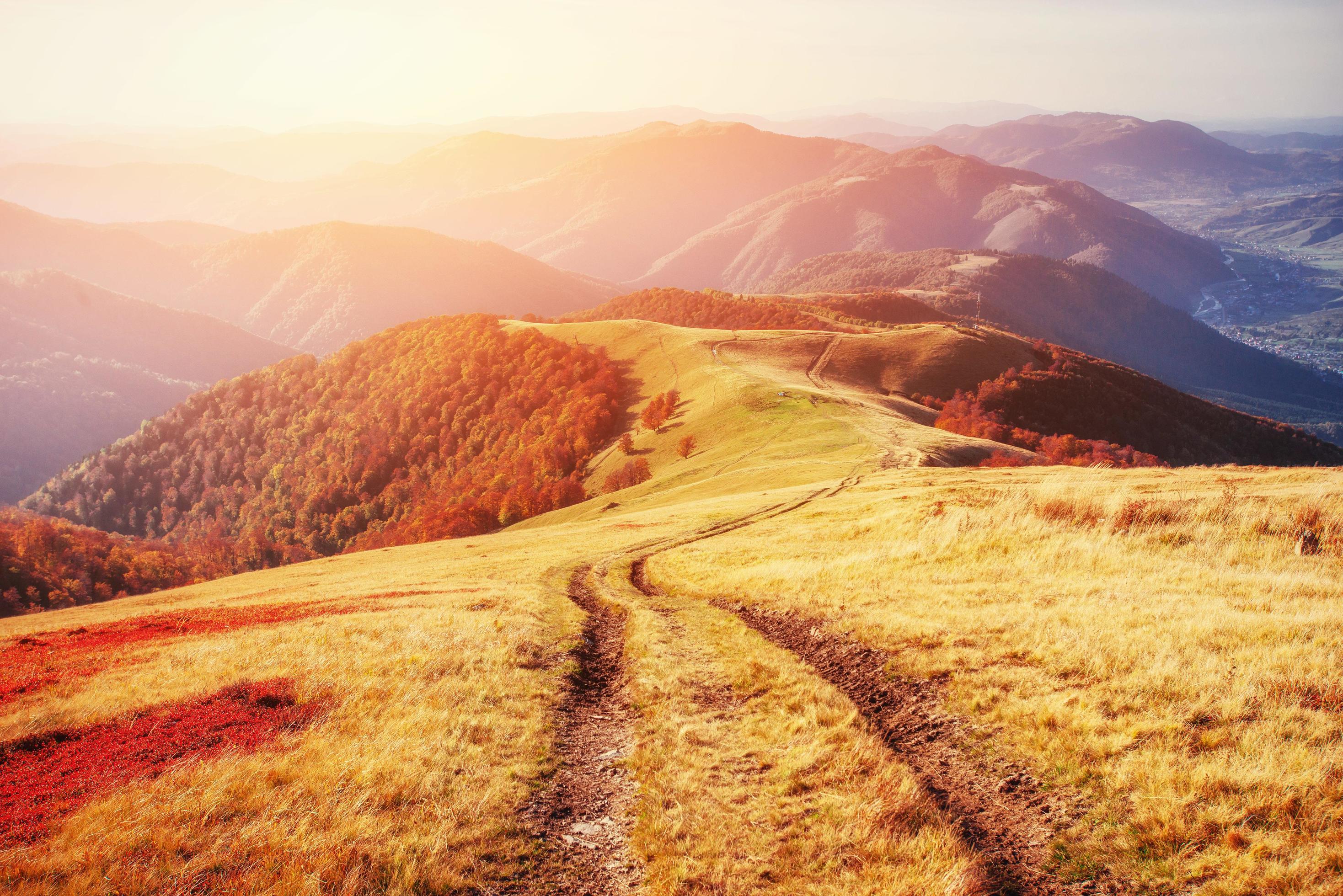 autumn alley. Carpathians. Ukraine, Europe Stock Free