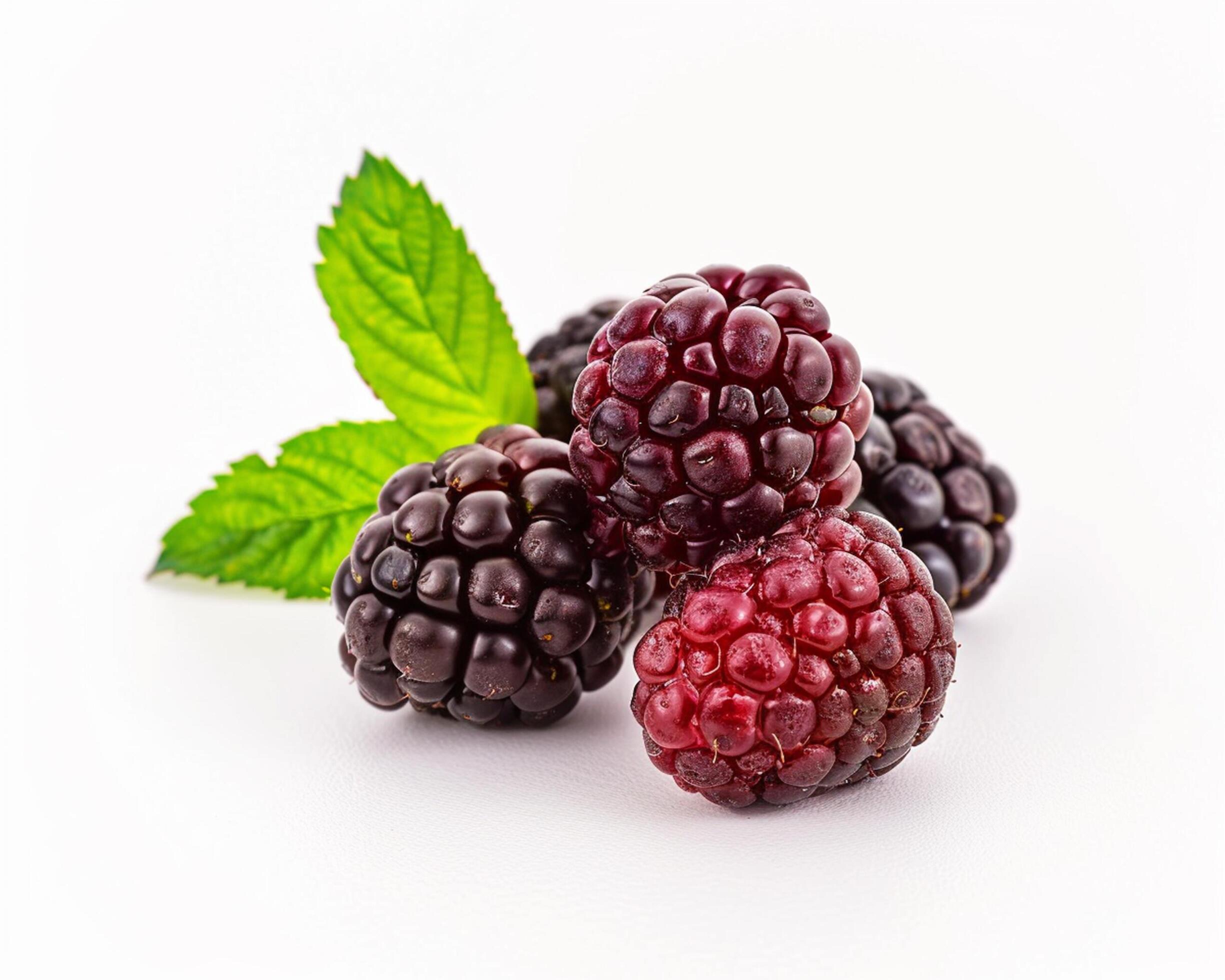 blackberries on white background Stock Free